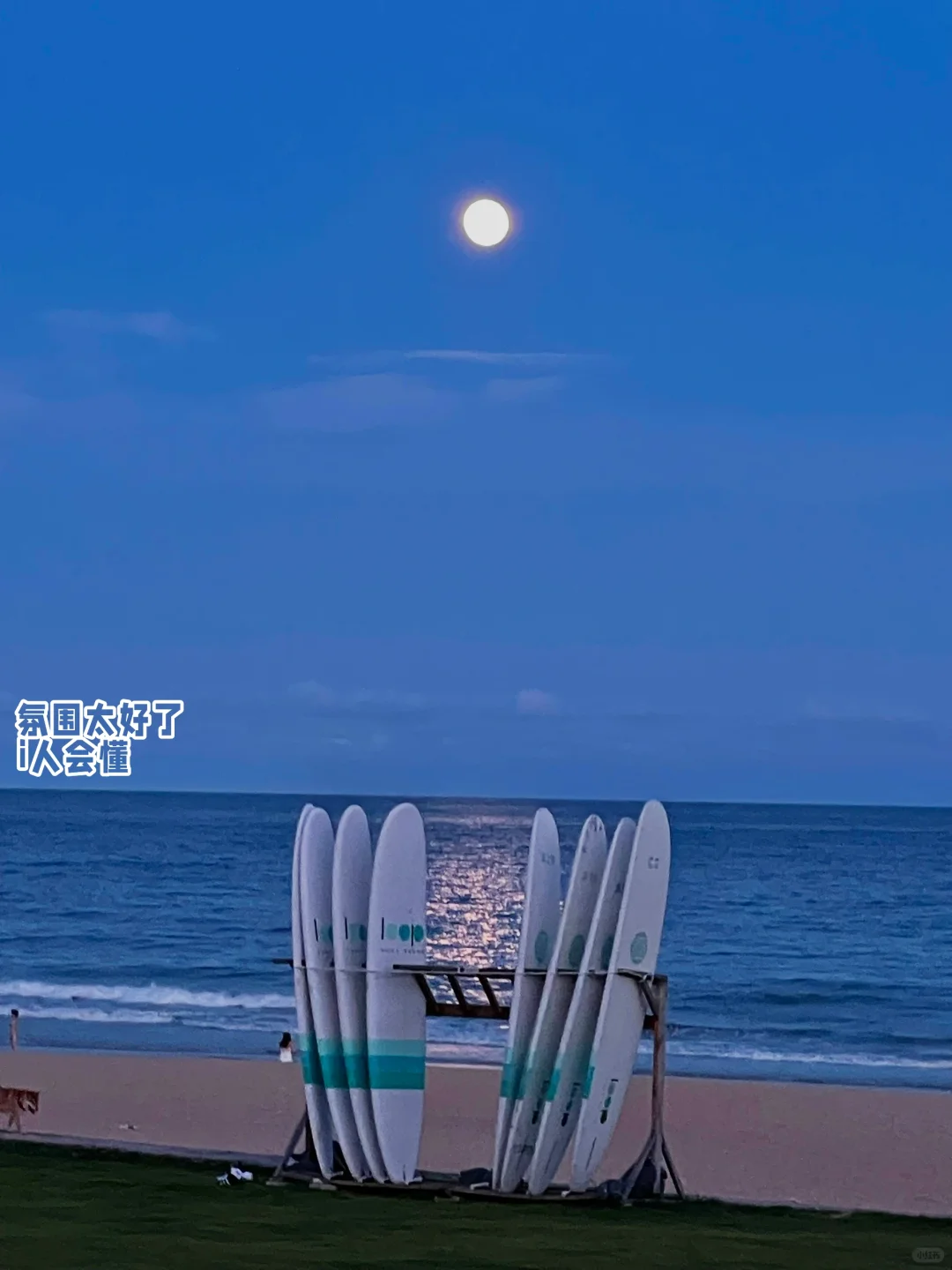 冬天的万宁太chill了🌴P人旅游攻略版 冲！