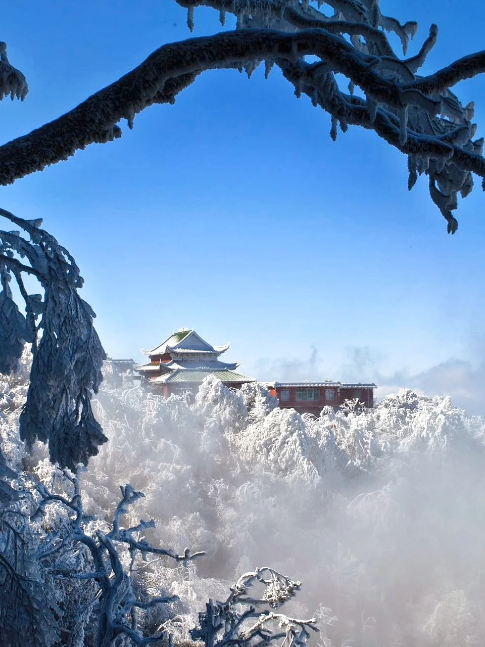 广东人狂喜🥹出发3h到达🚄看雾凇云海美哭…