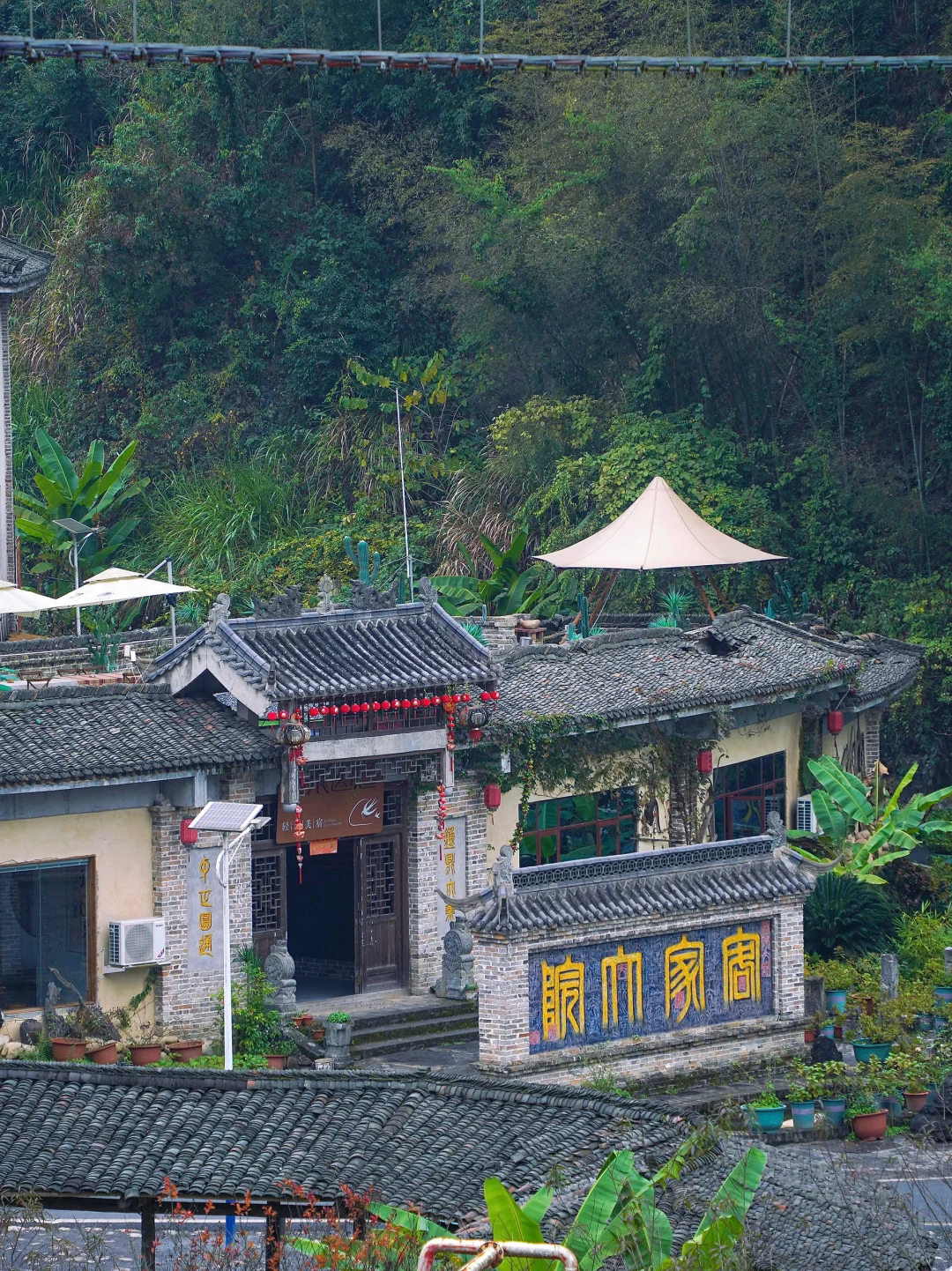 广东人狂喜🥹出发3h到达🚄看雾凇云海美哭…