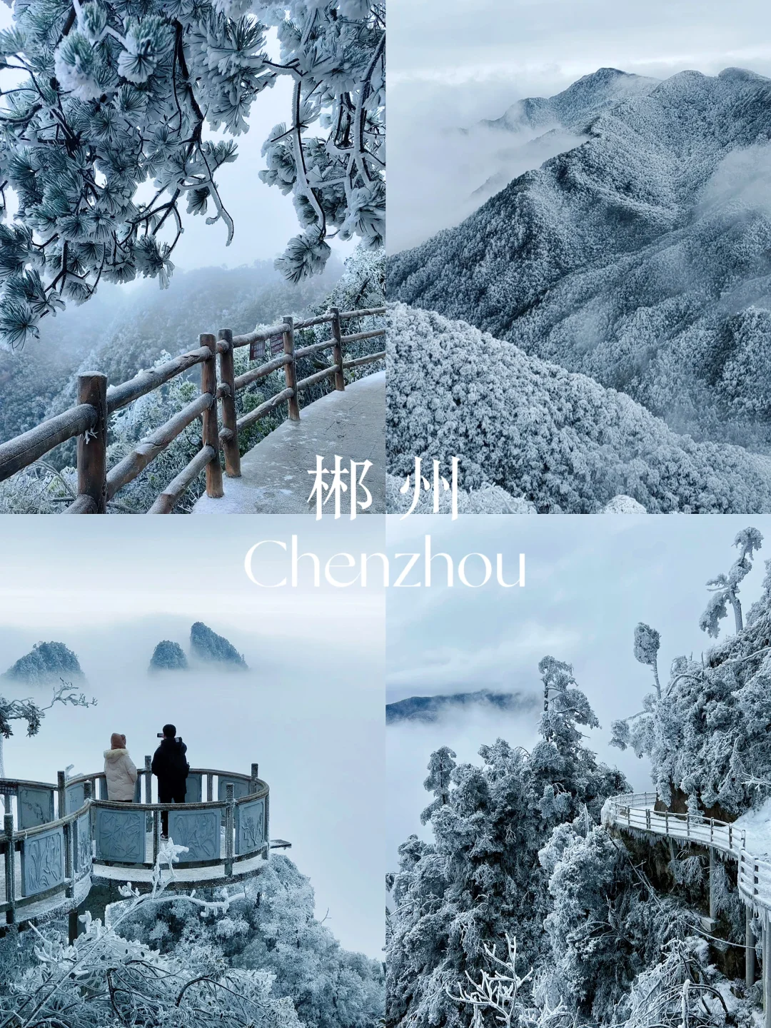 广东人狂喜🥹出发3h到达🚄看雾凇云海美哭…