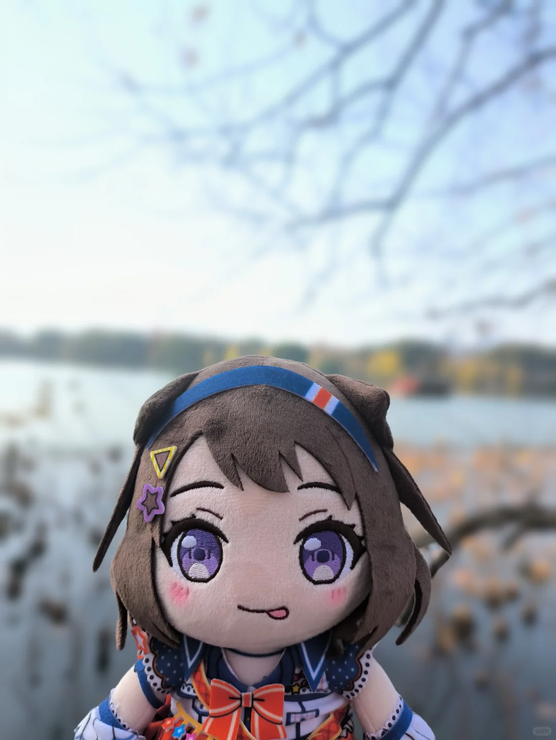 来杭州西湖玩了