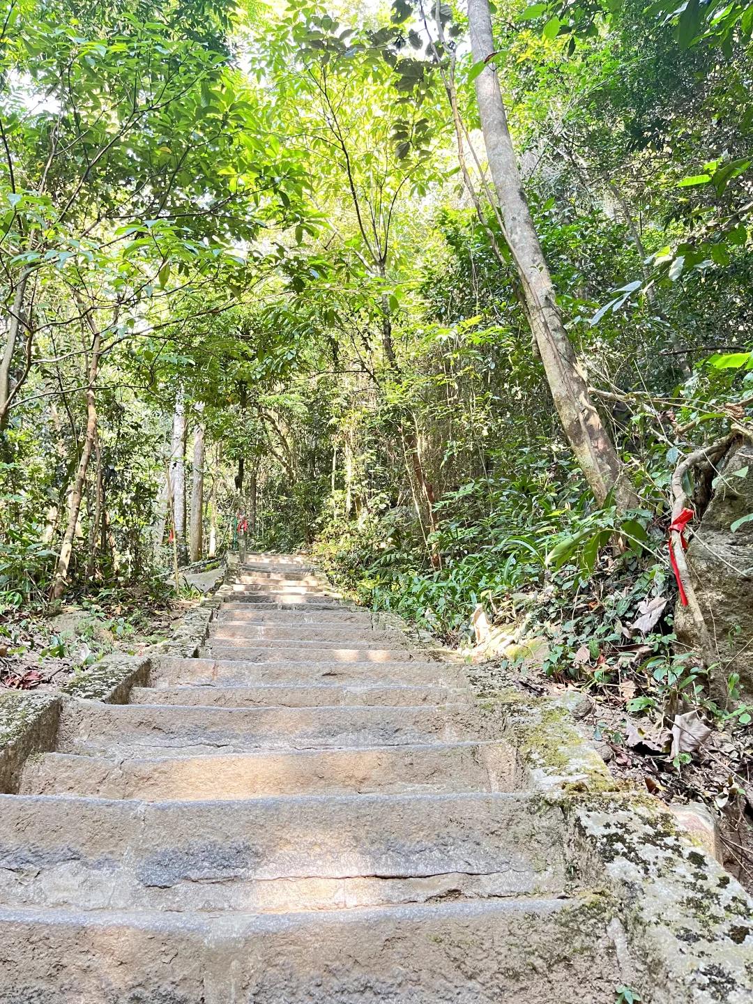 去年环岛一圈，今年补上中线两个景点