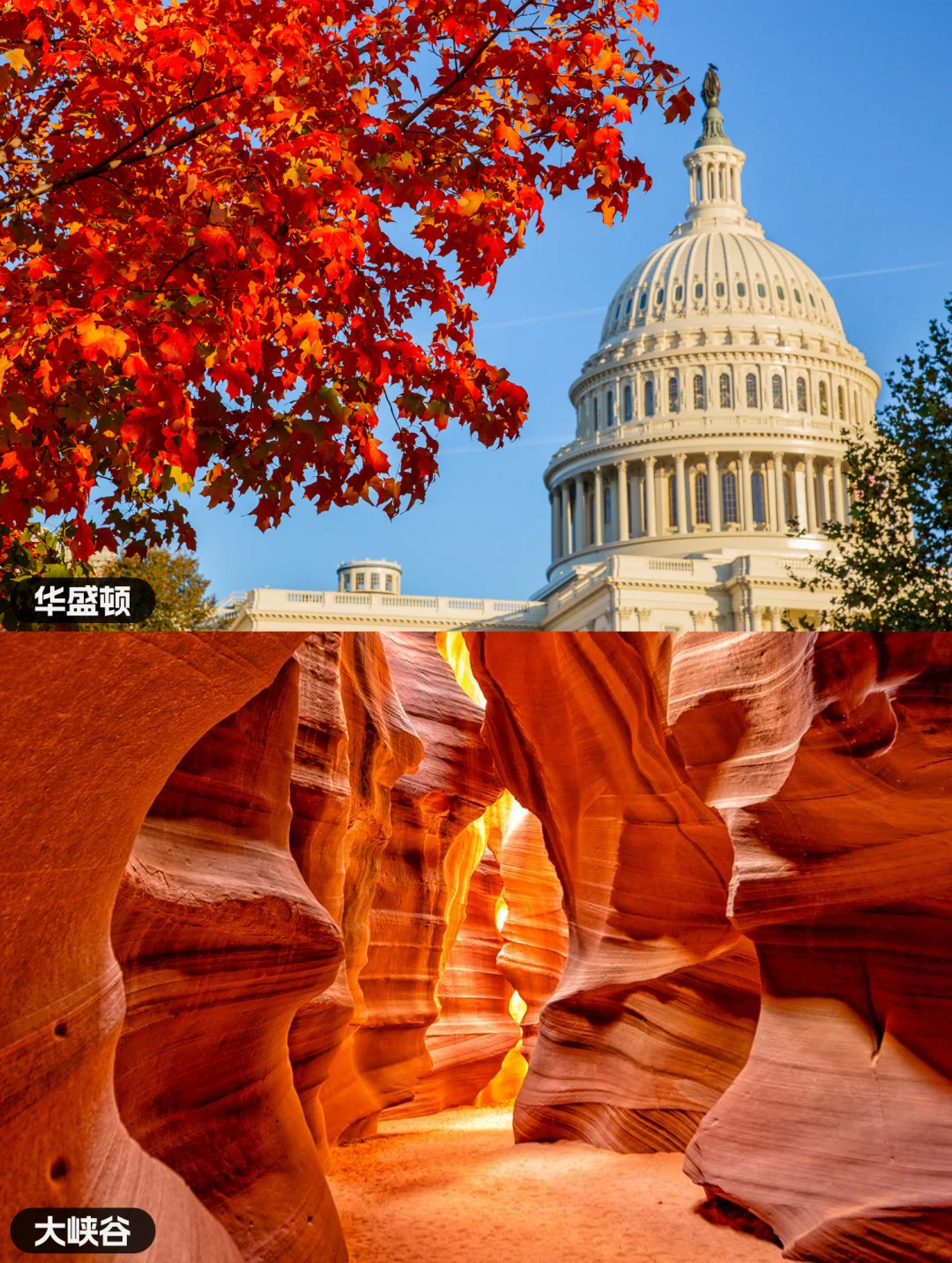 计划去美国的存下吧‼️看完立省俩小时😭