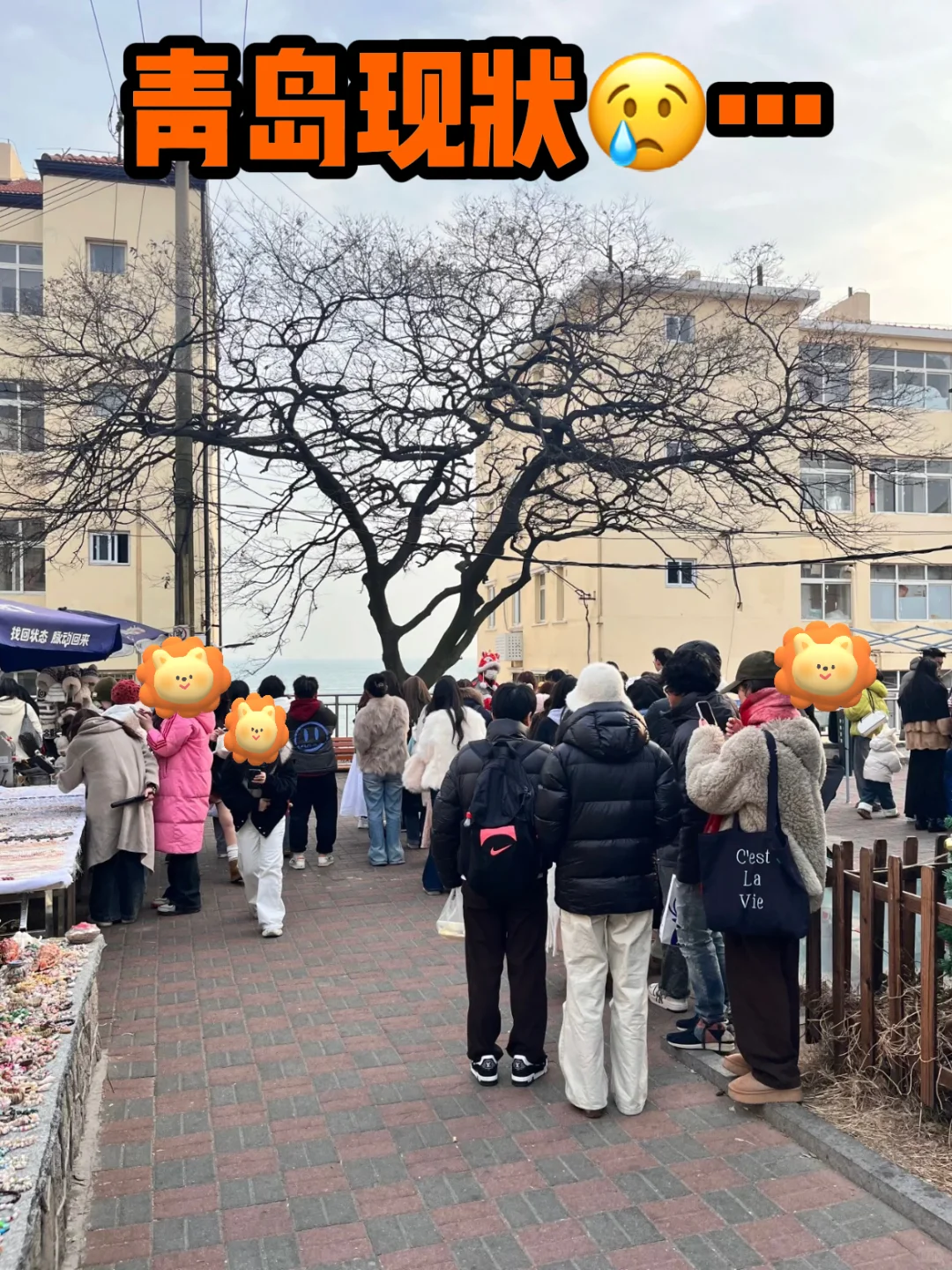 天翻地覆❗️青岛现状……