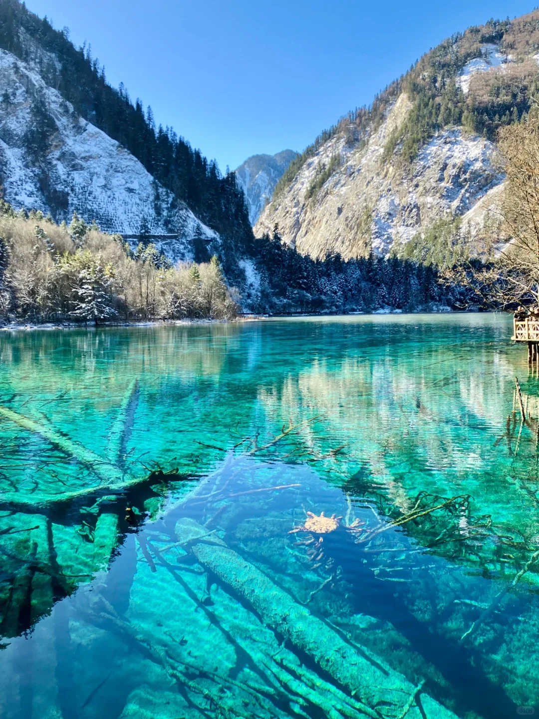 📍九寨沟超全旅游攻略‼️ 旅游前必看❗