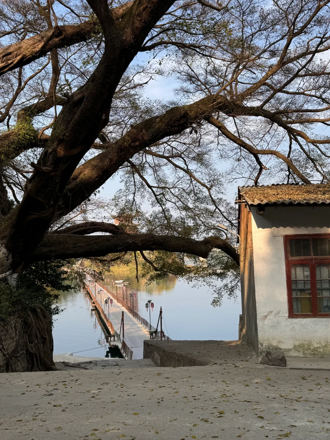 这居然是在柳州？！