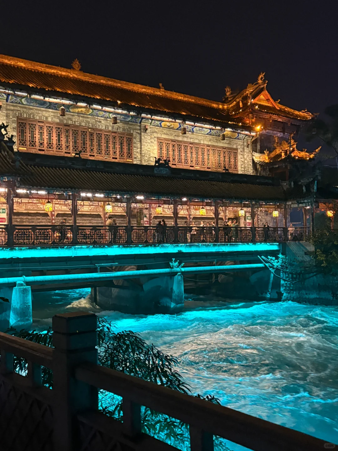 成都-都江堰-熊猫谷👉包这种🚗,太宽敞啦!