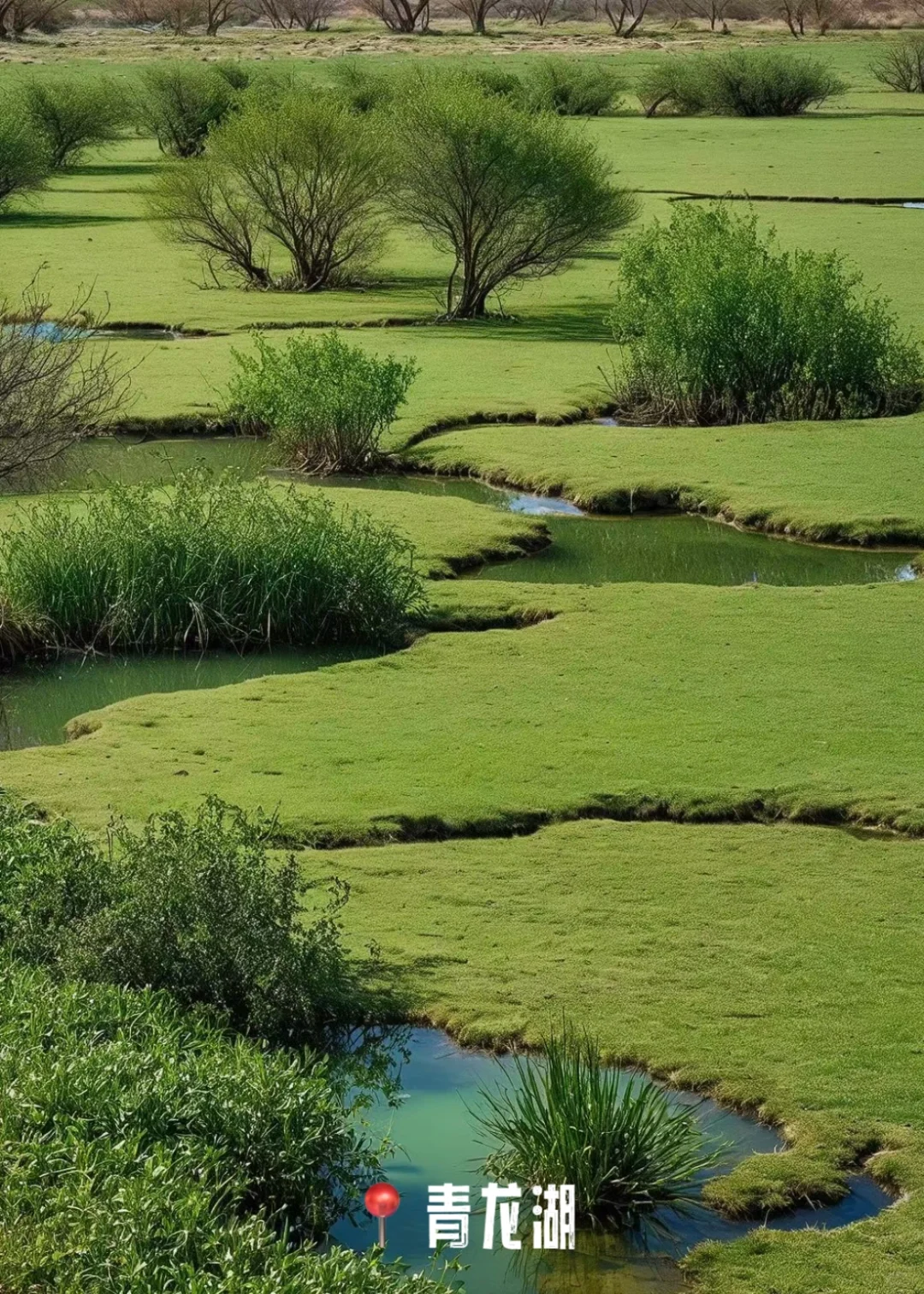 🌲广西的私藏路线,都在这里❗️