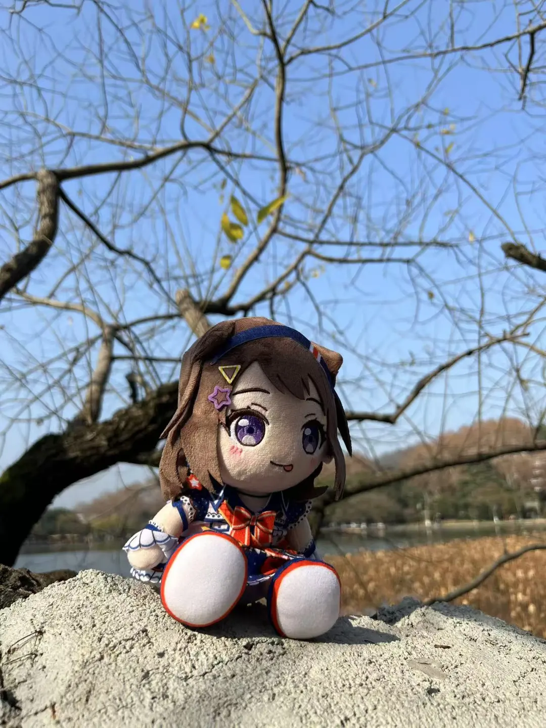 来杭州西湖玩了