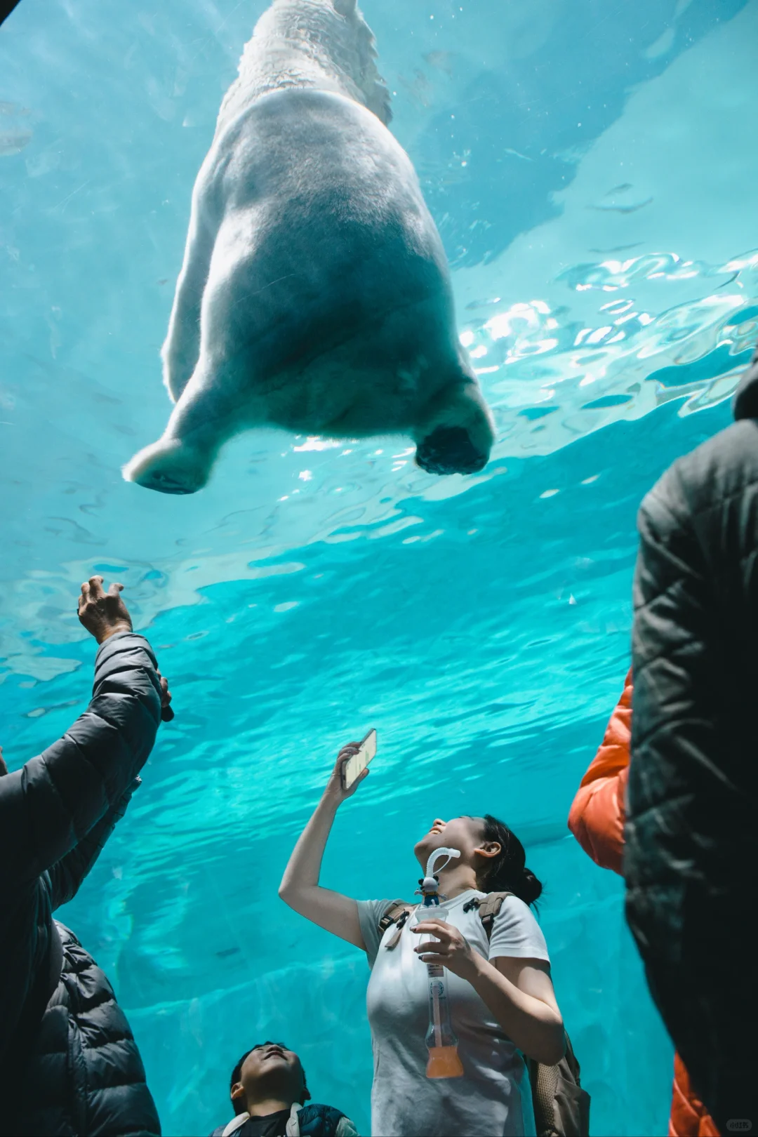 珠海长隆海洋王国懒人攻略📝快记下～