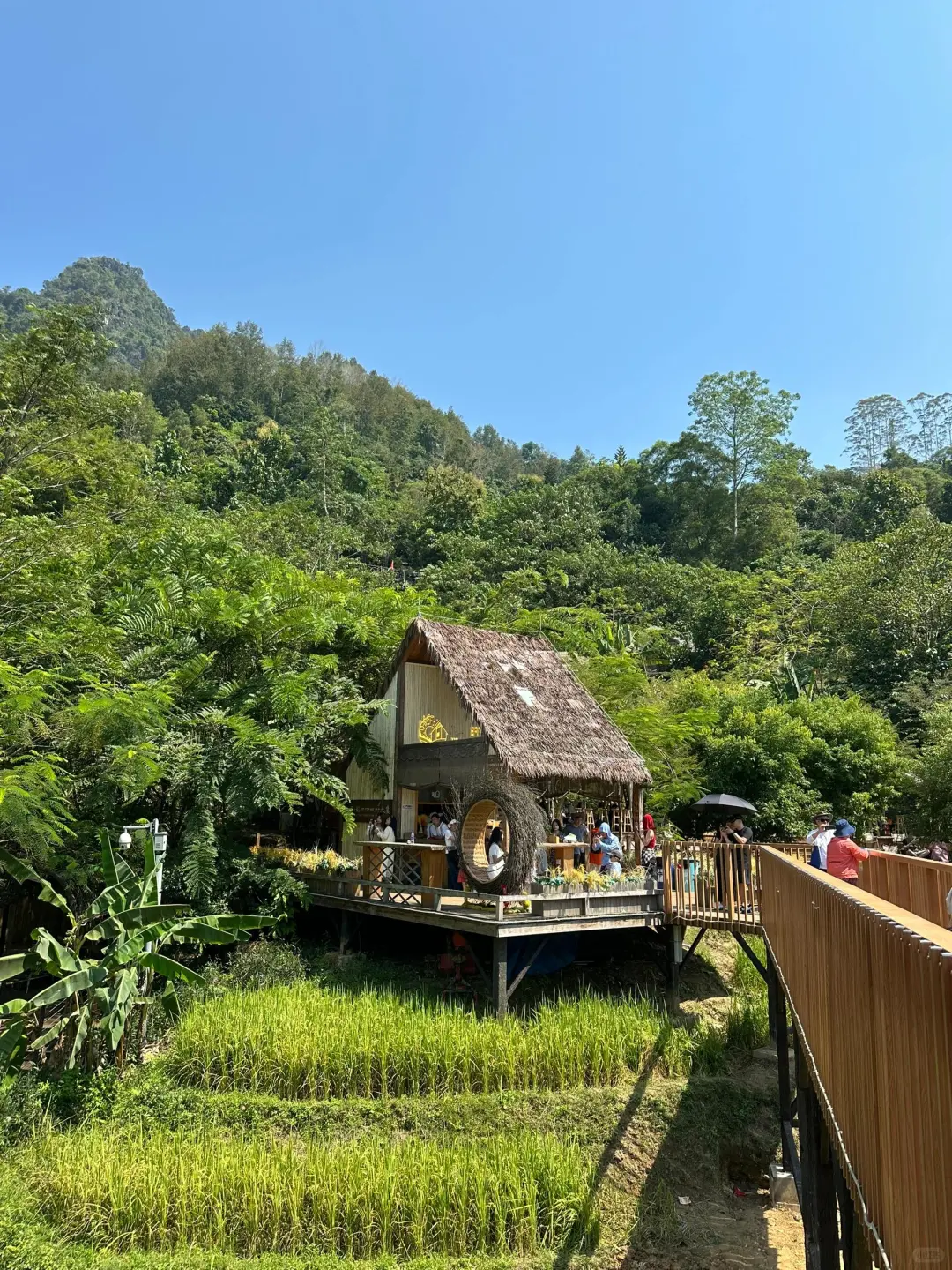 张馨予没骗我❗️崇左的冬天真的很暖💯