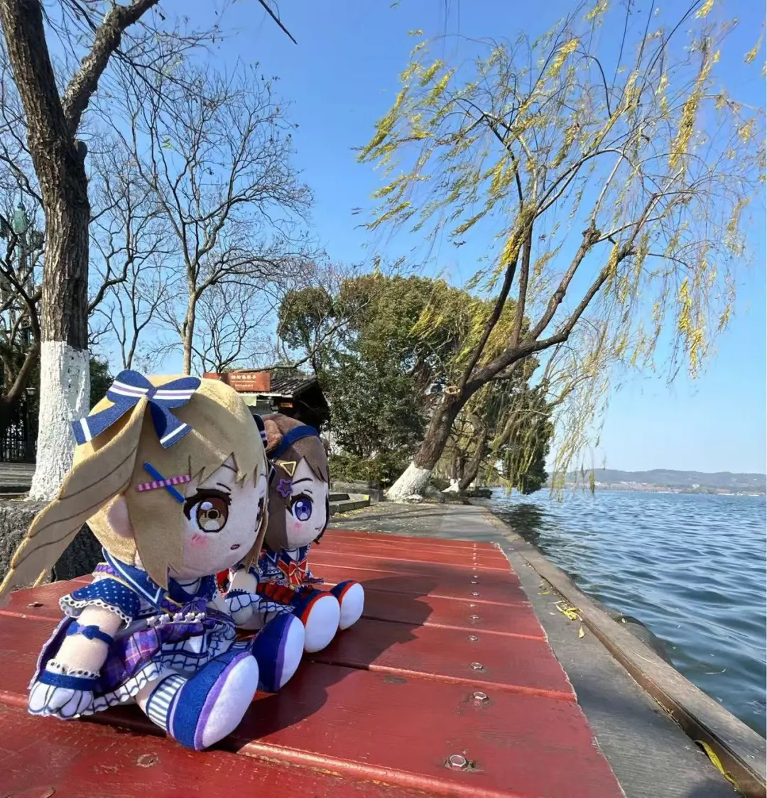 来杭州西湖玩了