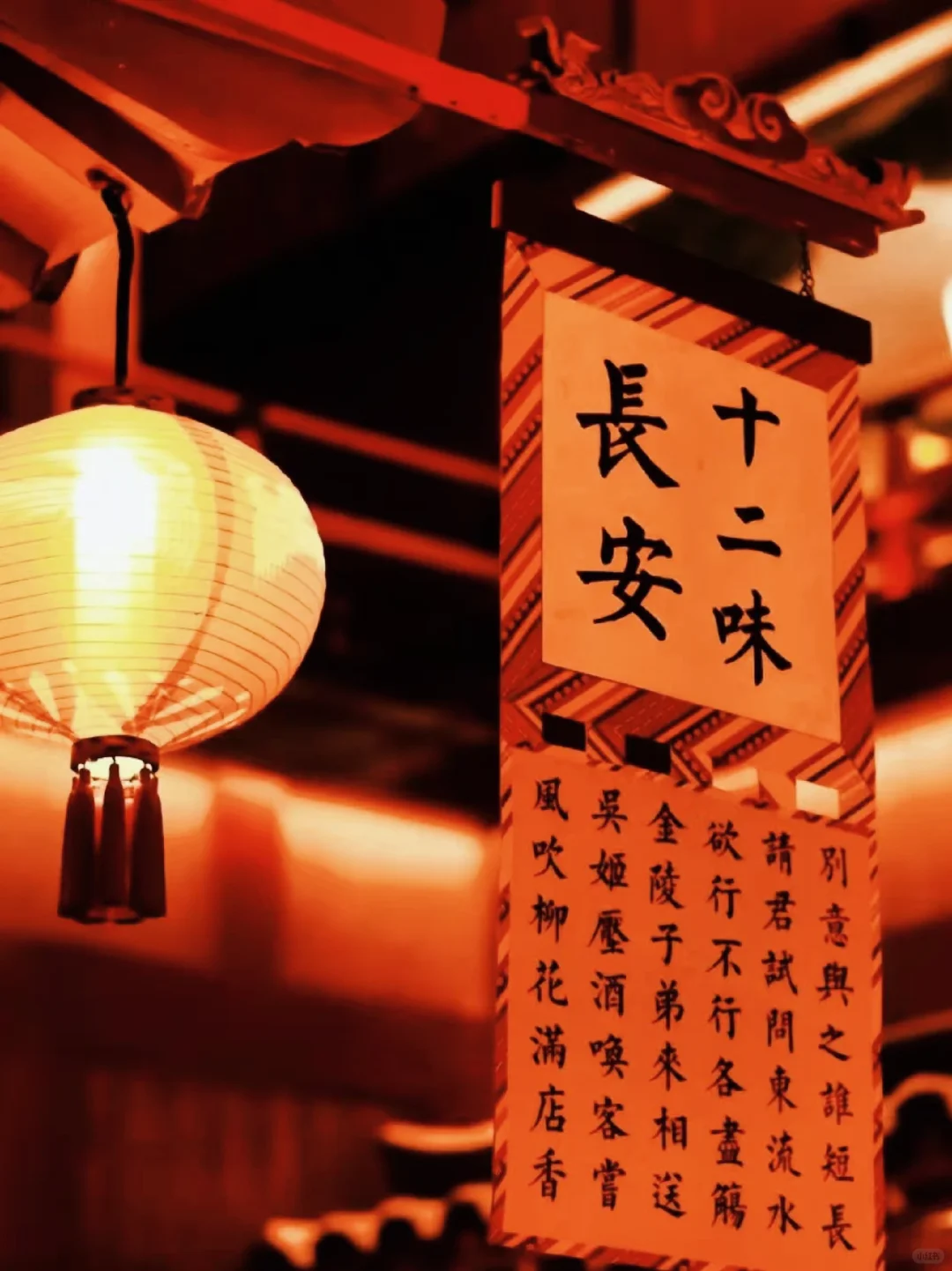 西安｜一座长安城 半部中国史📚