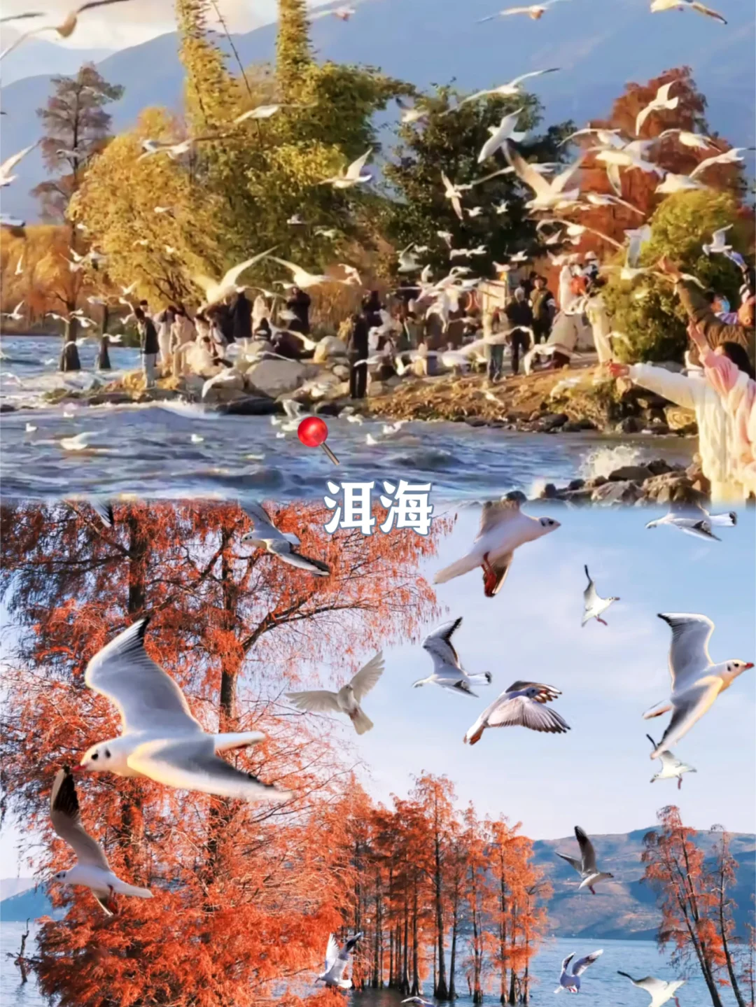 度假天花板【云南定制游】!!!