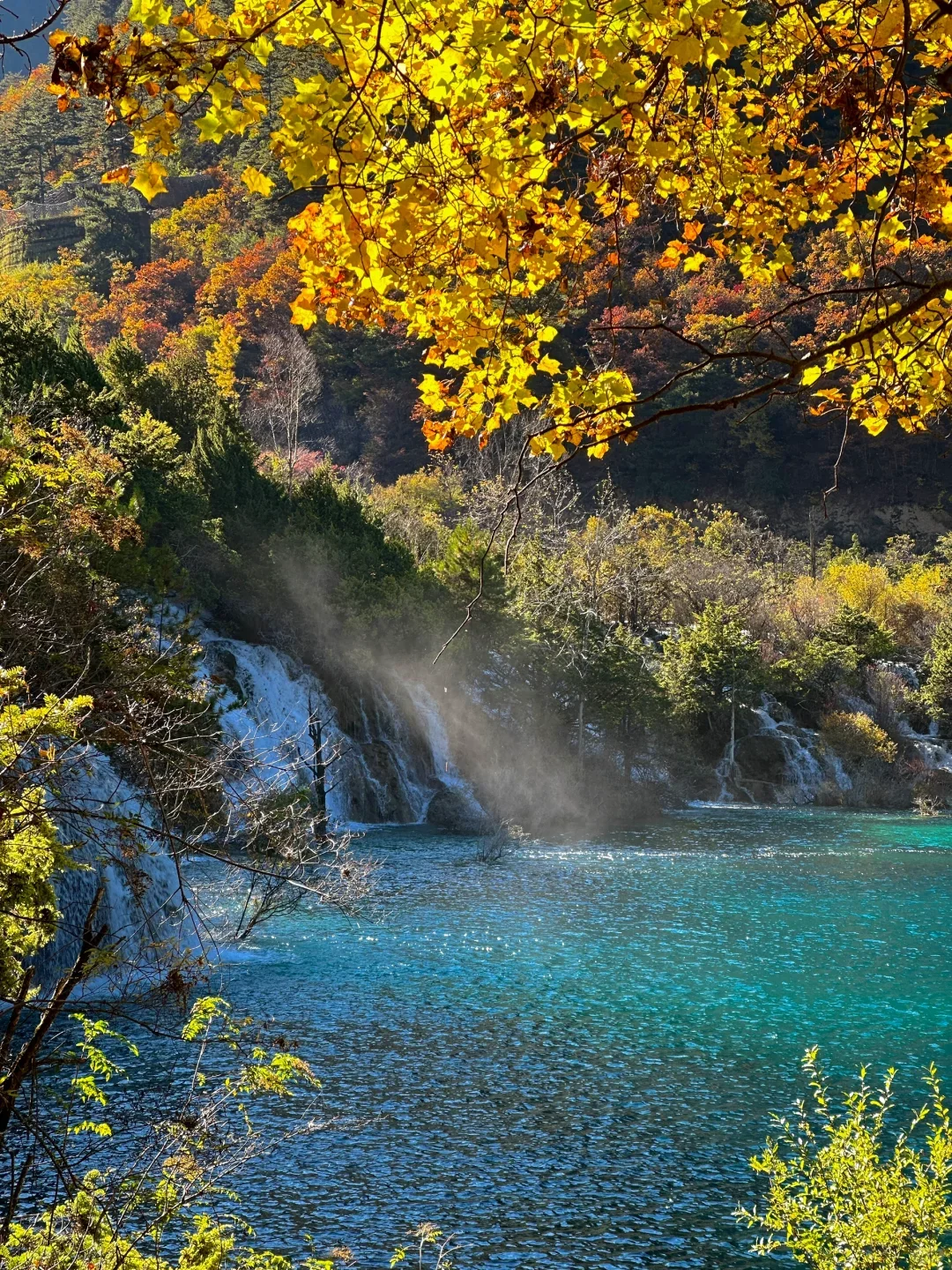 📍九寨沟超全旅游攻略‼️ 旅游前必看❗