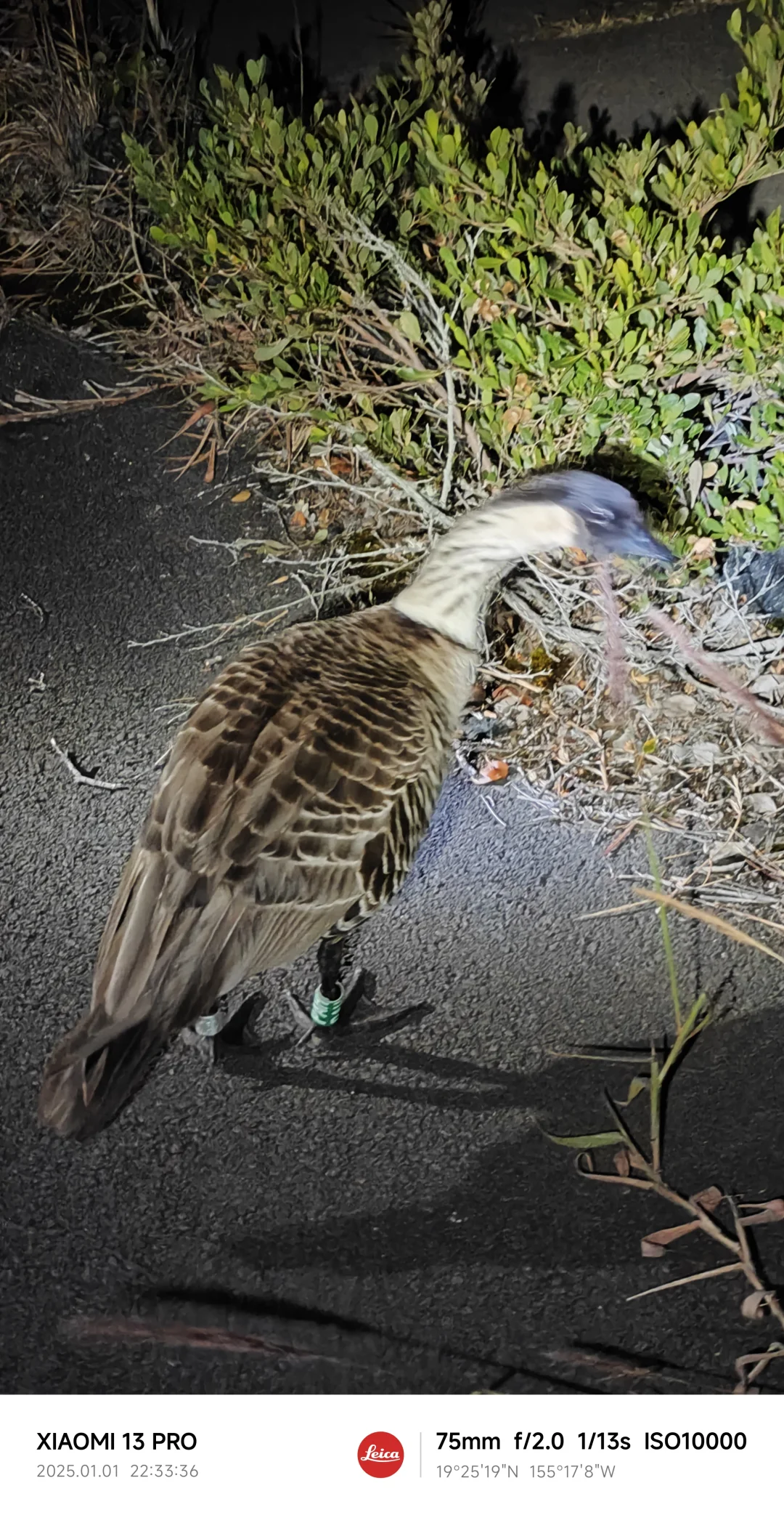 夏威夷大岛火山公园观看岩浆攻略