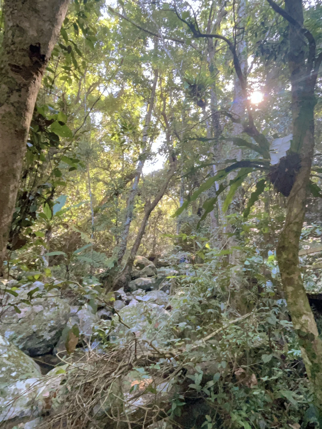 去年环岛一圈，今年补上中线两个景点