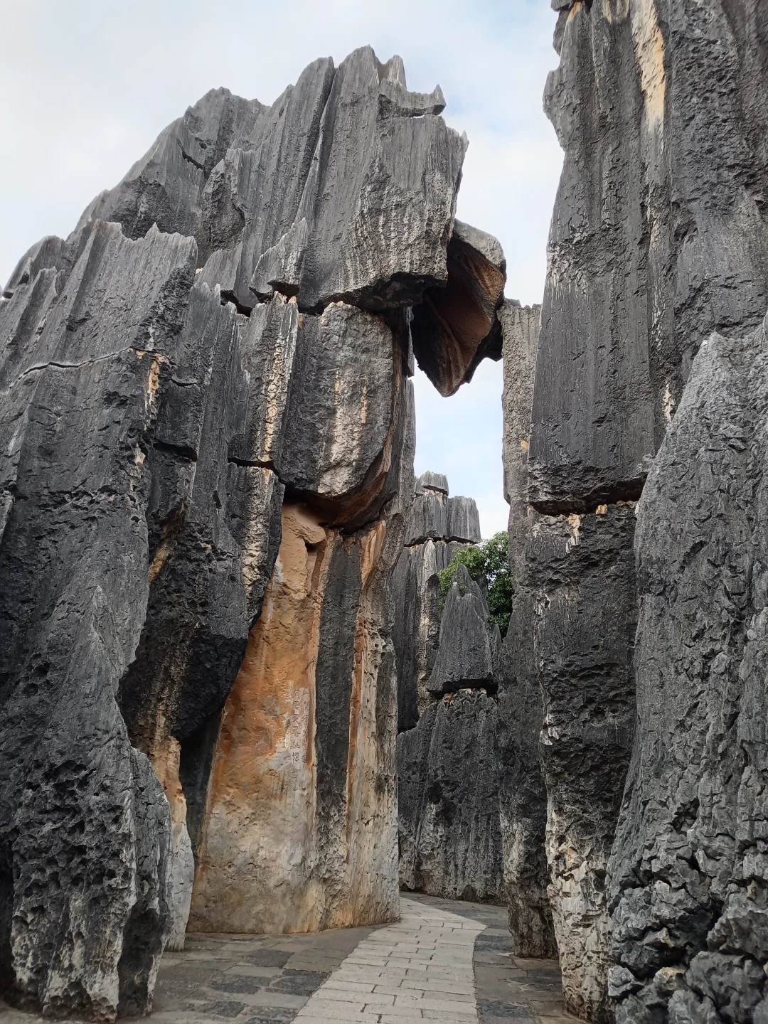 云南这些景点不要去好吧?!