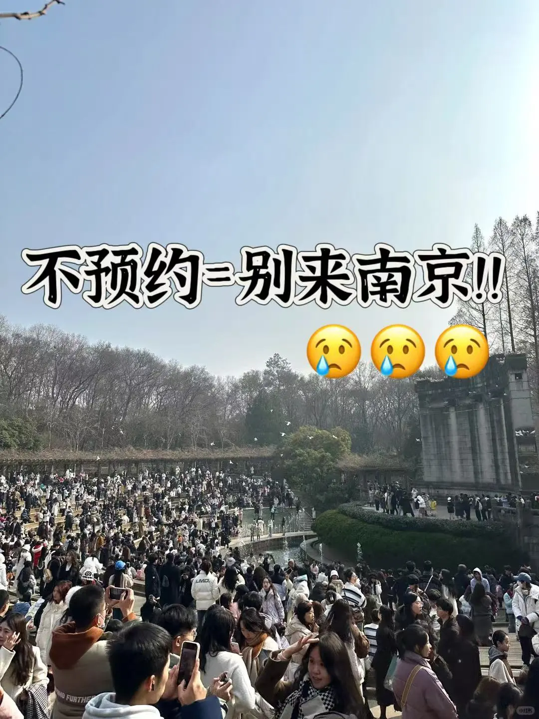 南京会惩罚每一个不提前预约的人🥹🥹🥹