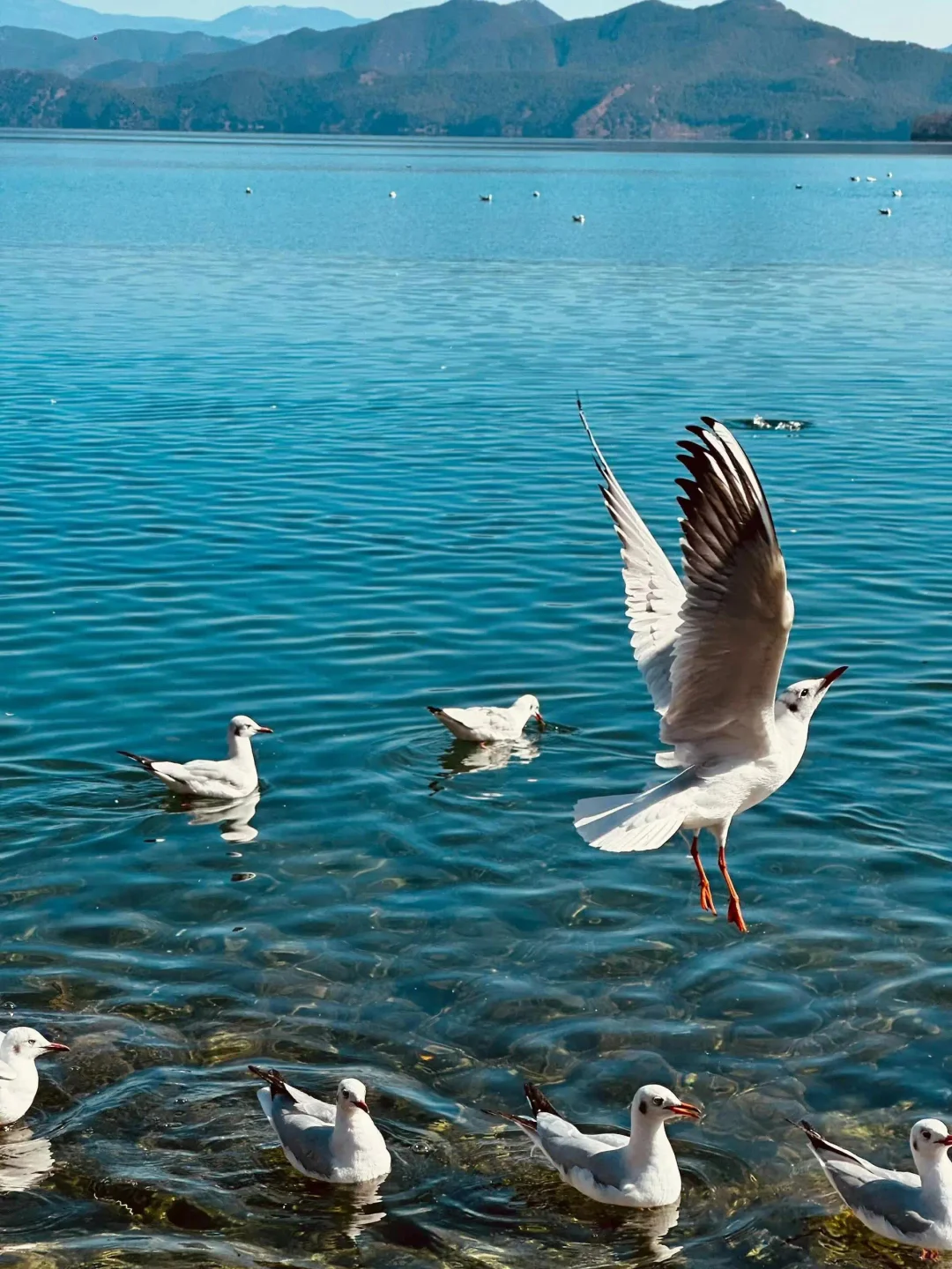 一生最值得去的地方，诗与远方之旅