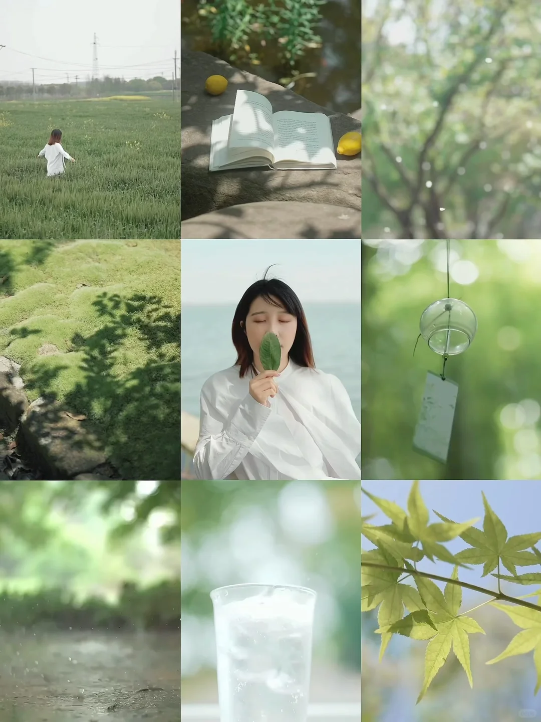 Just live·对话四季