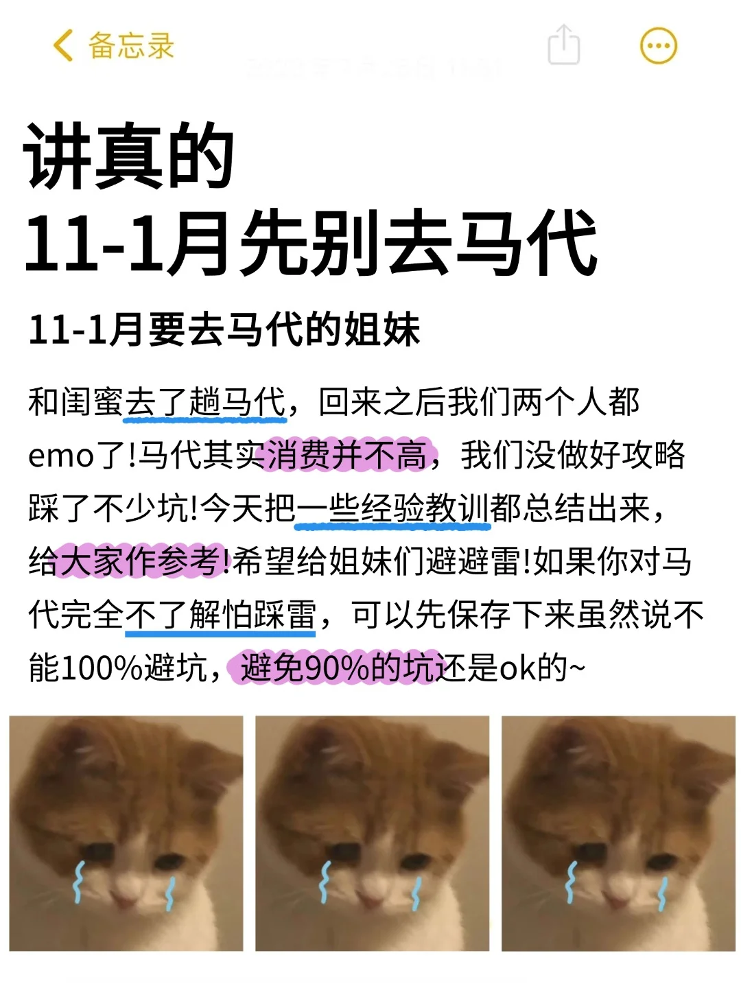 💢马代会处罚每一个不做攻略的人