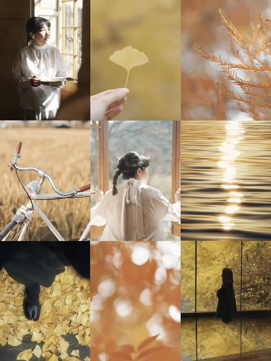 Just live·对话四季