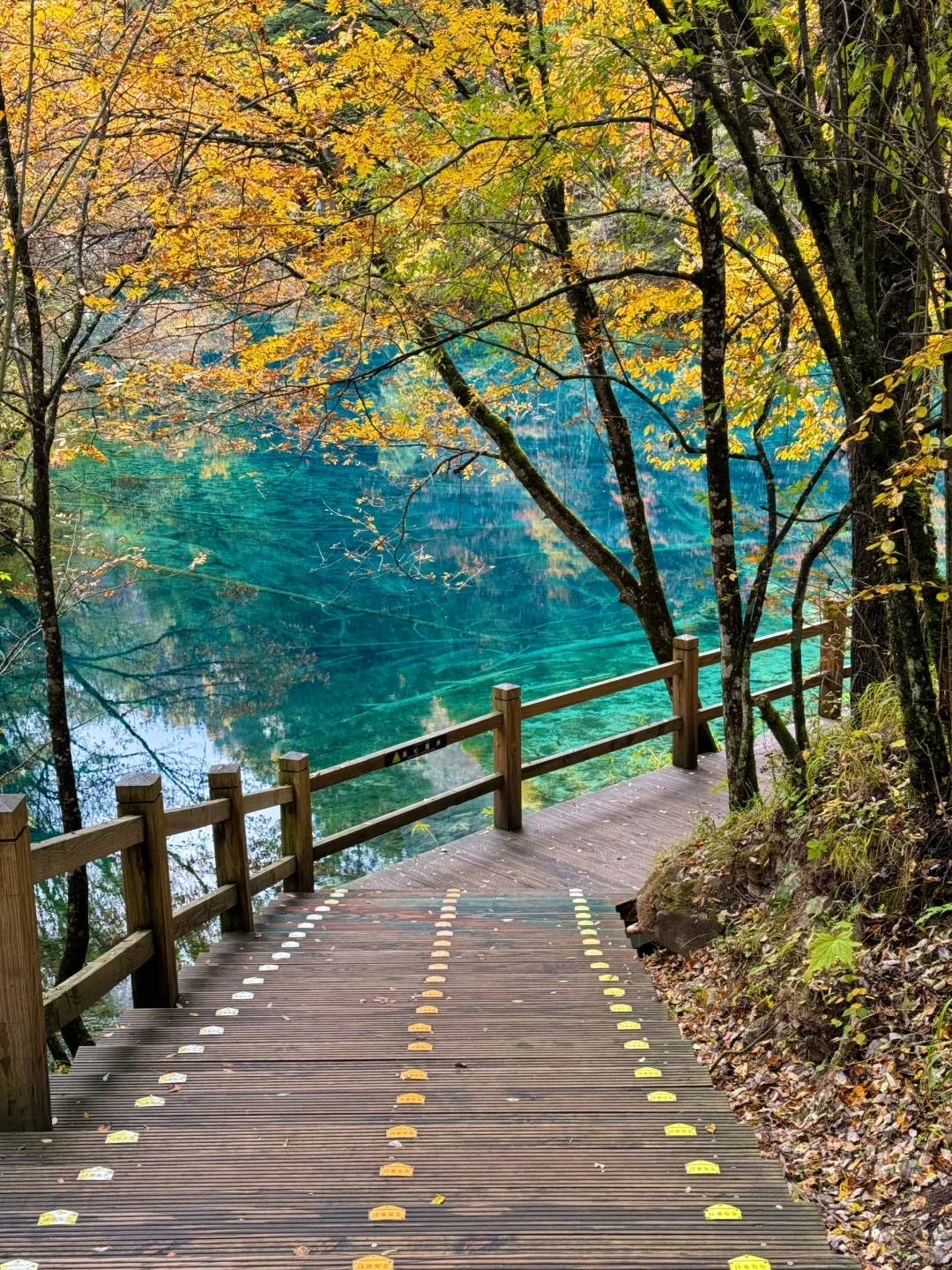 📍九寨沟超全旅游攻略‼️ 旅游前必看❗