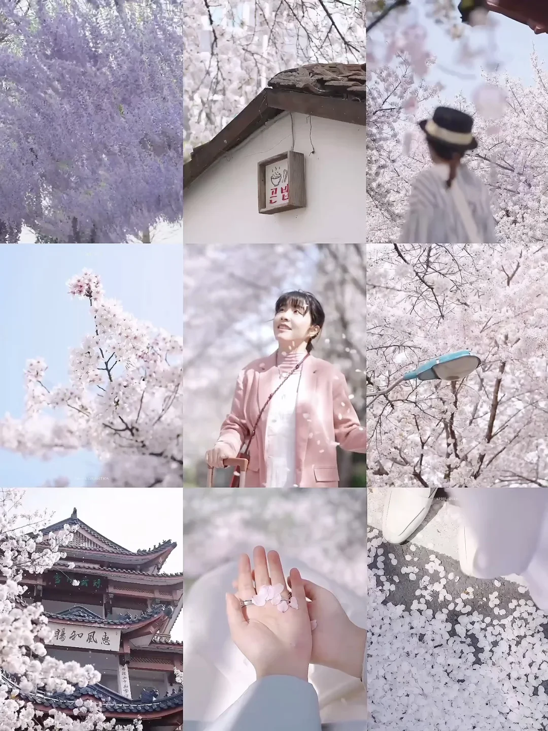 Just live·对话四季