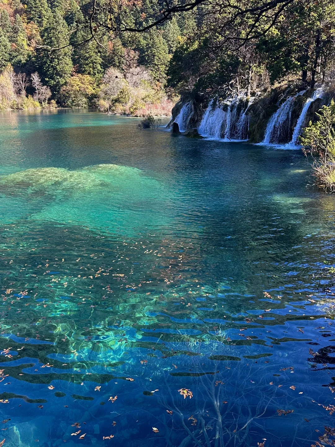 📍九寨沟超全旅游攻略‼️ 旅游前必看❗