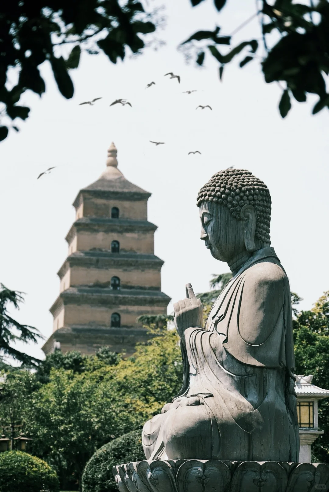 为了这13个拍照机位，我特地去了一趟西安