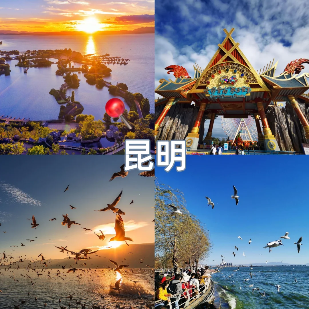 1-2月避寒旅游景点好去处😀