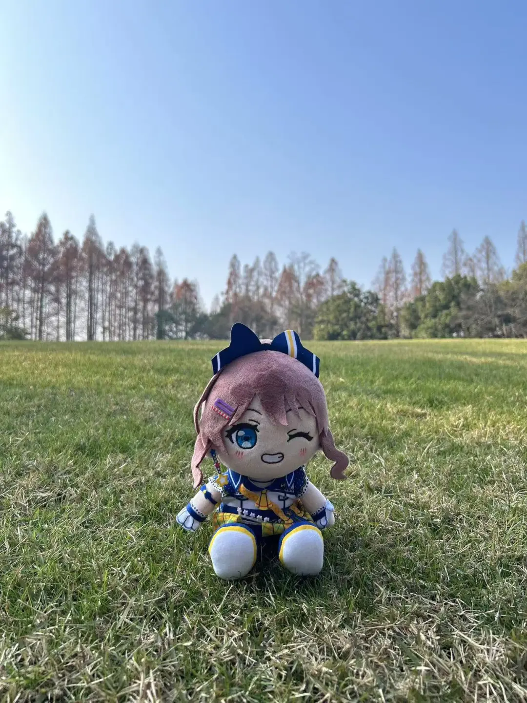 来杭州西湖玩了