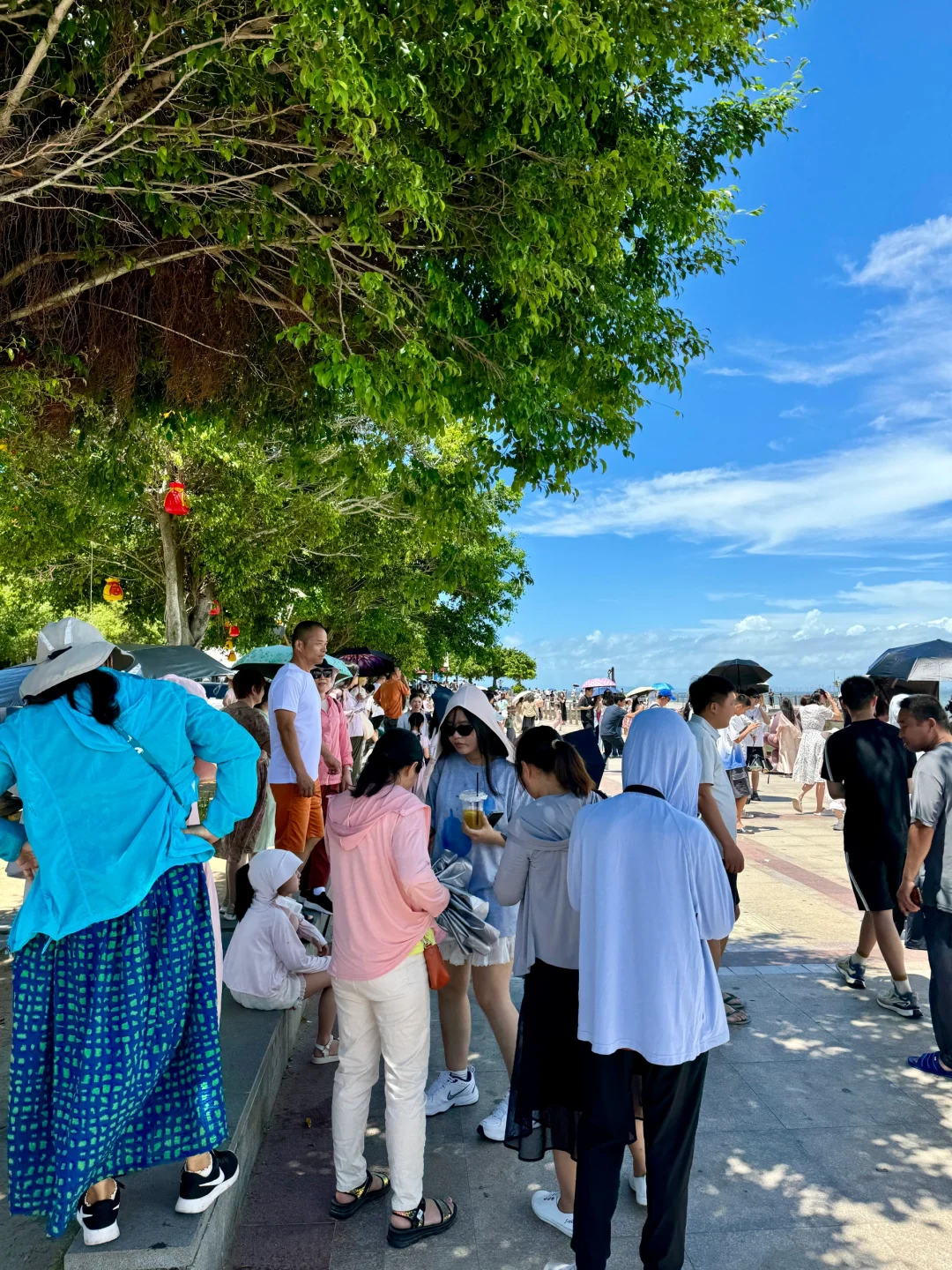 南澳岛已回…😅真心提醒要去的姐妹慎重……