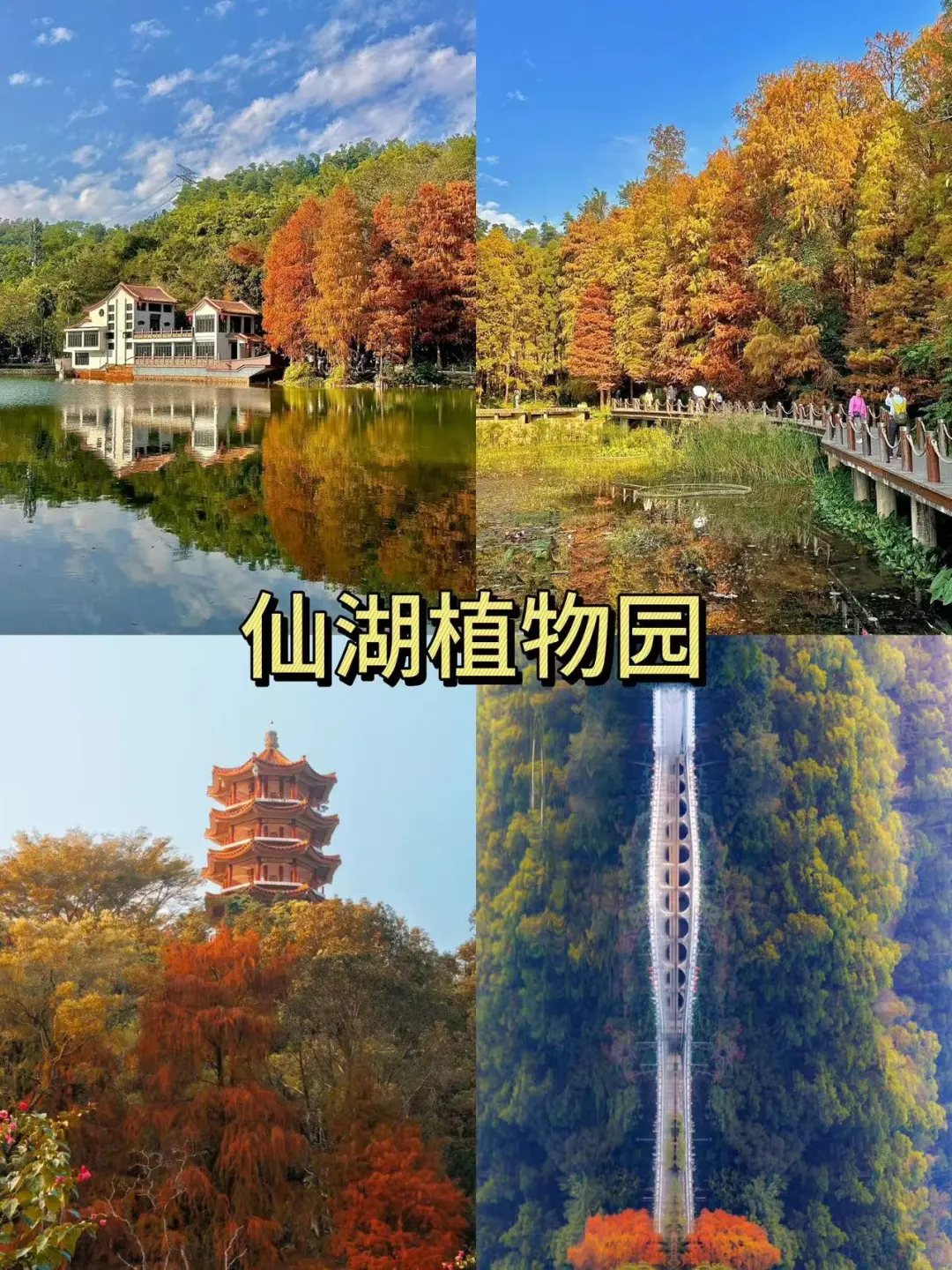 这个冬天就来深圳这9⃣大必去景点吧！