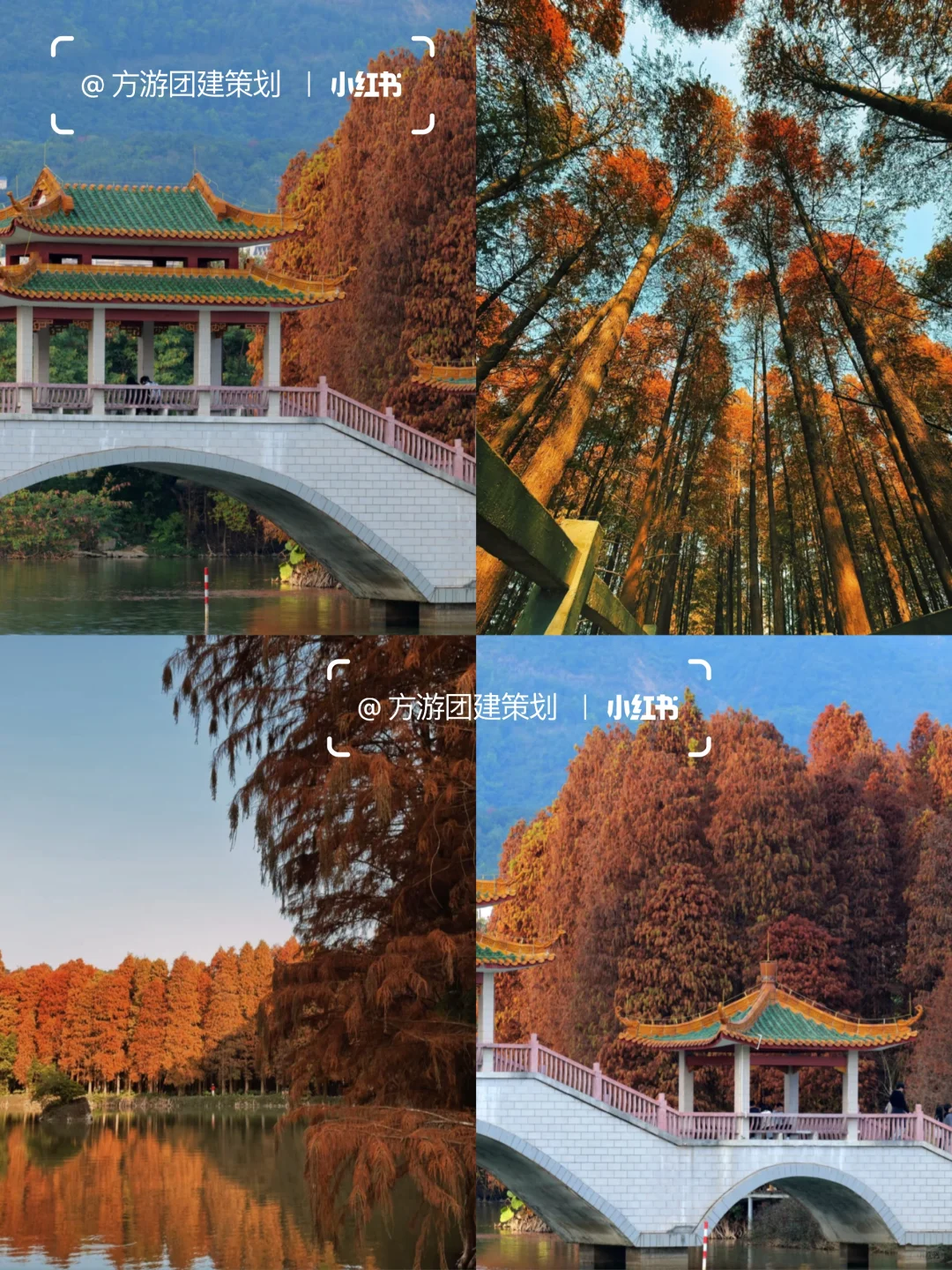 真不踩雷❗️肇庆两天大厂同款行程超👍