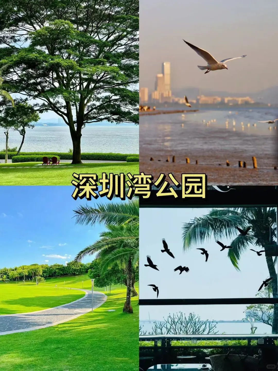 这个冬天就来深圳这9⃣大必去景点吧！