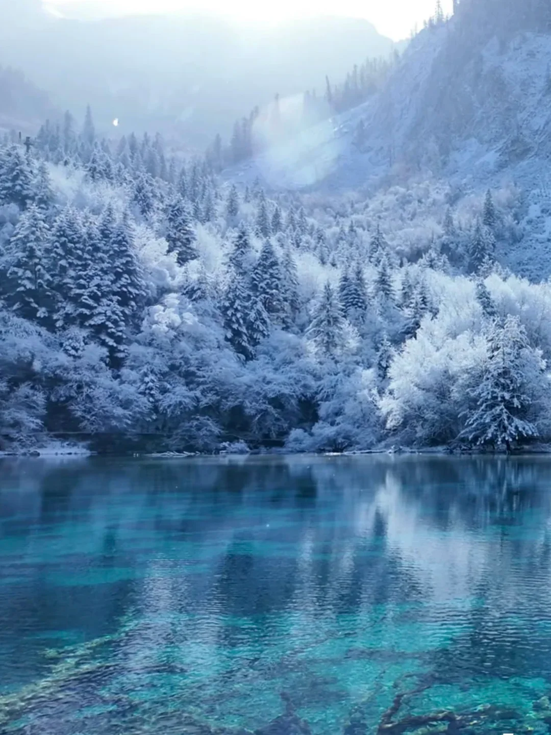 📍九寨沟超全旅游攻略‼️ 旅游前必看❗