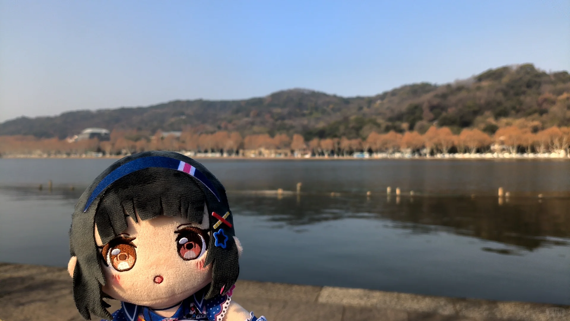 来杭州西湖玩了