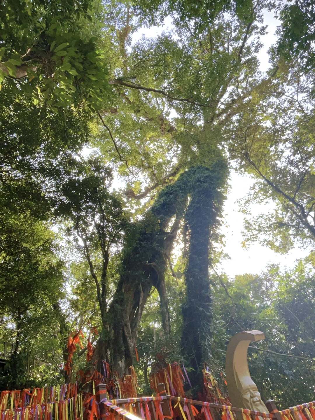 去年环岛一圈，今年补上中线两个景点