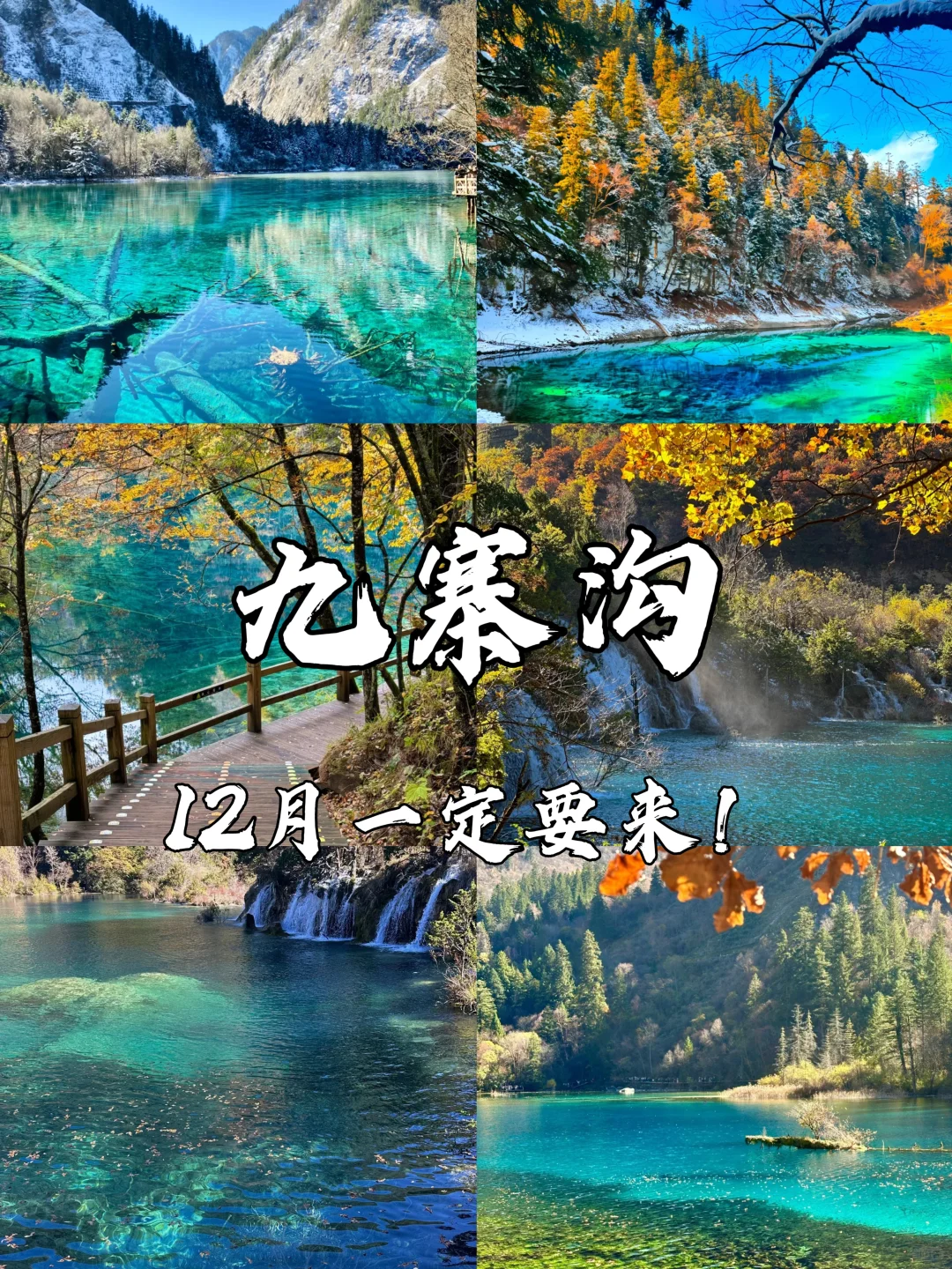 📍九寨沟超全旅游攻略‼️ 旅游前必看❗