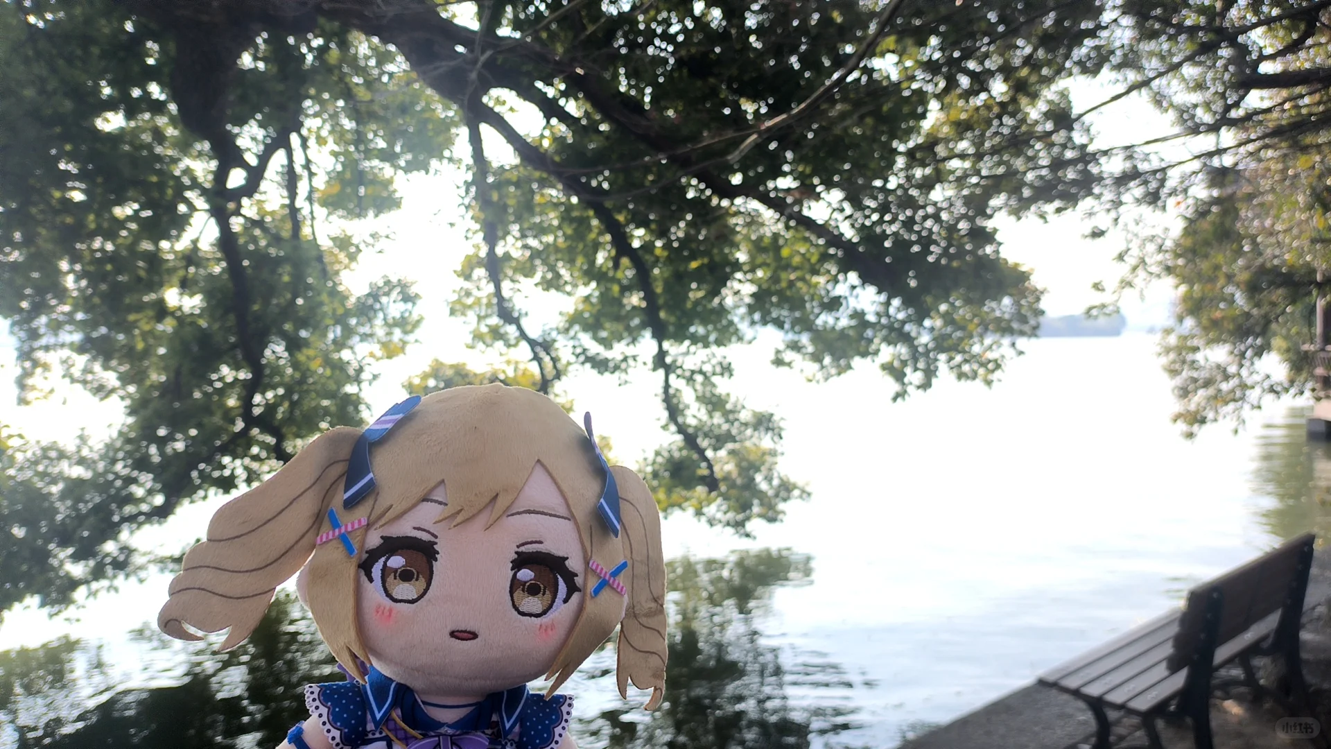 来杭州西湖玩了