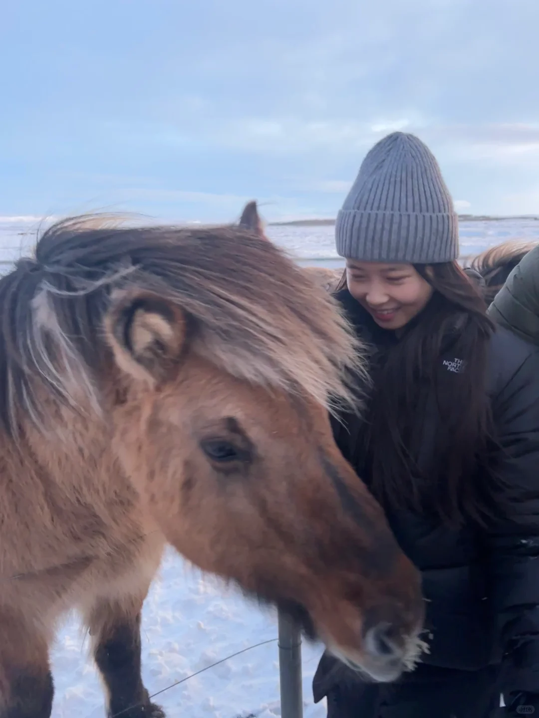 冰岛旅游攻略-9天8晚solotrip