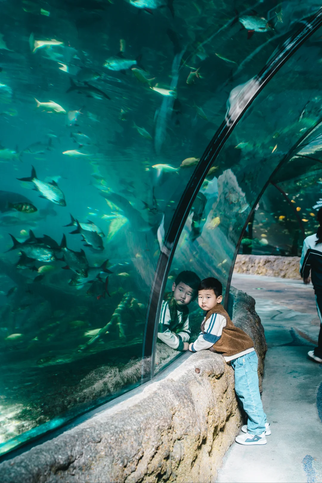 珠海长隆海洋王国懒人攻略📝快记下～