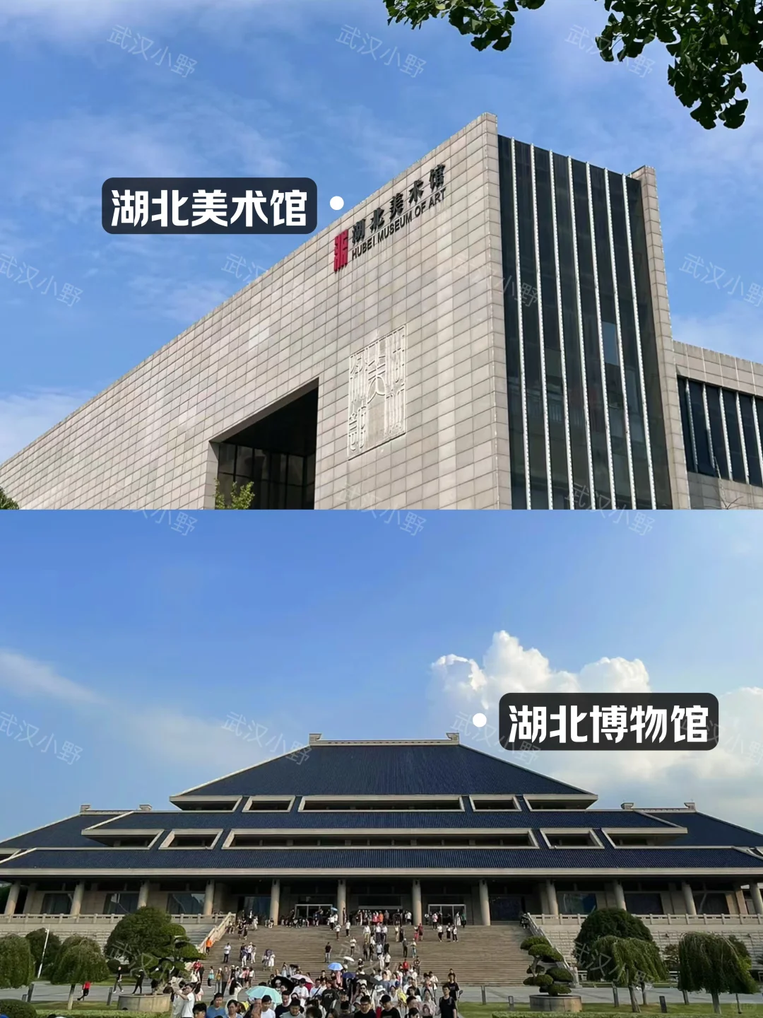 🚶🏻攻略｜武汉待了20年一定要说的...