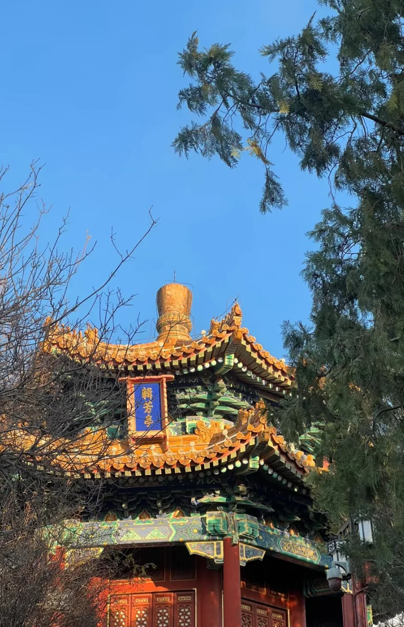 北京都有谁在啊