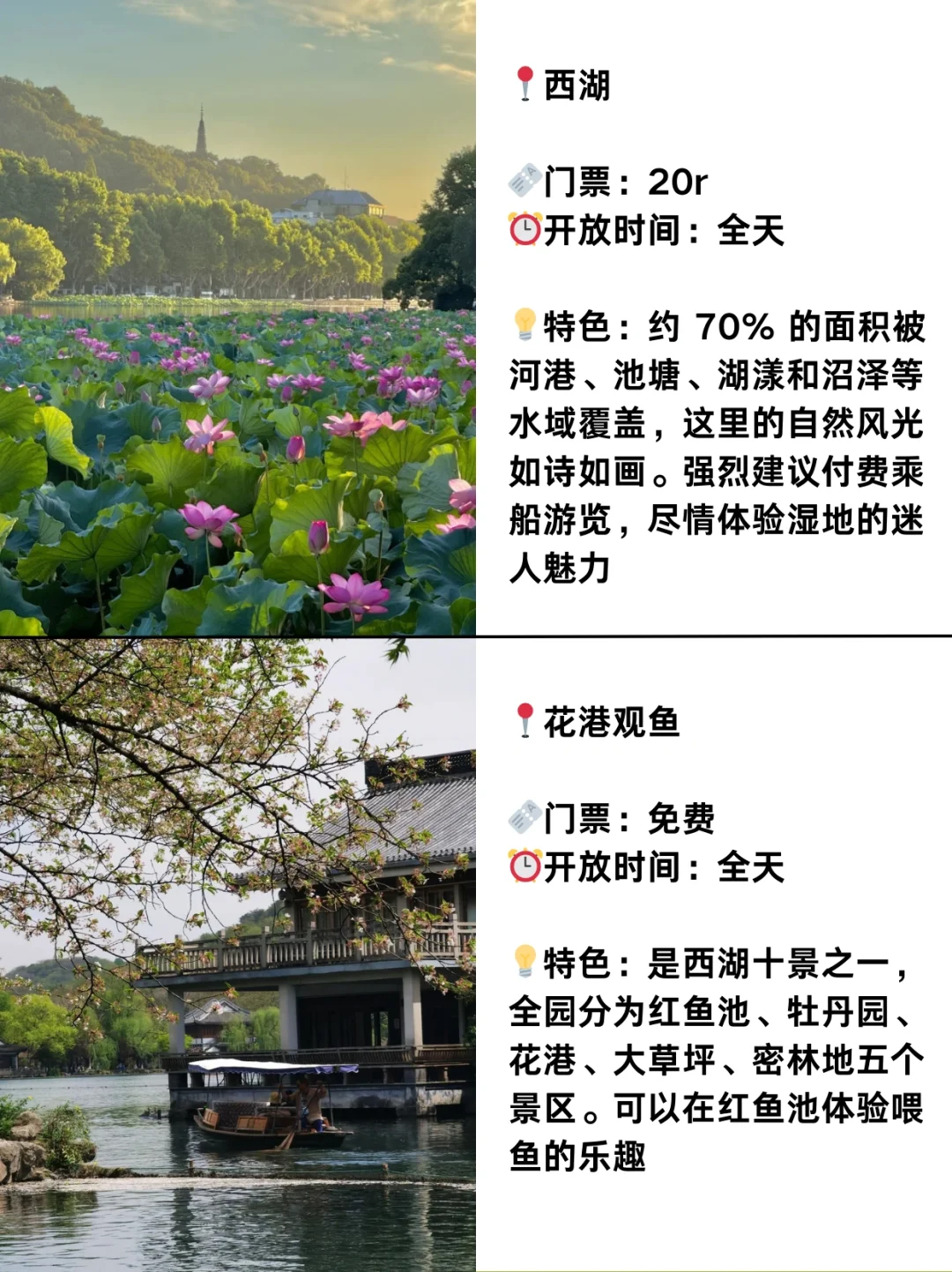 杭州路书🌈两天一夜，这样玩不走回头路‼️