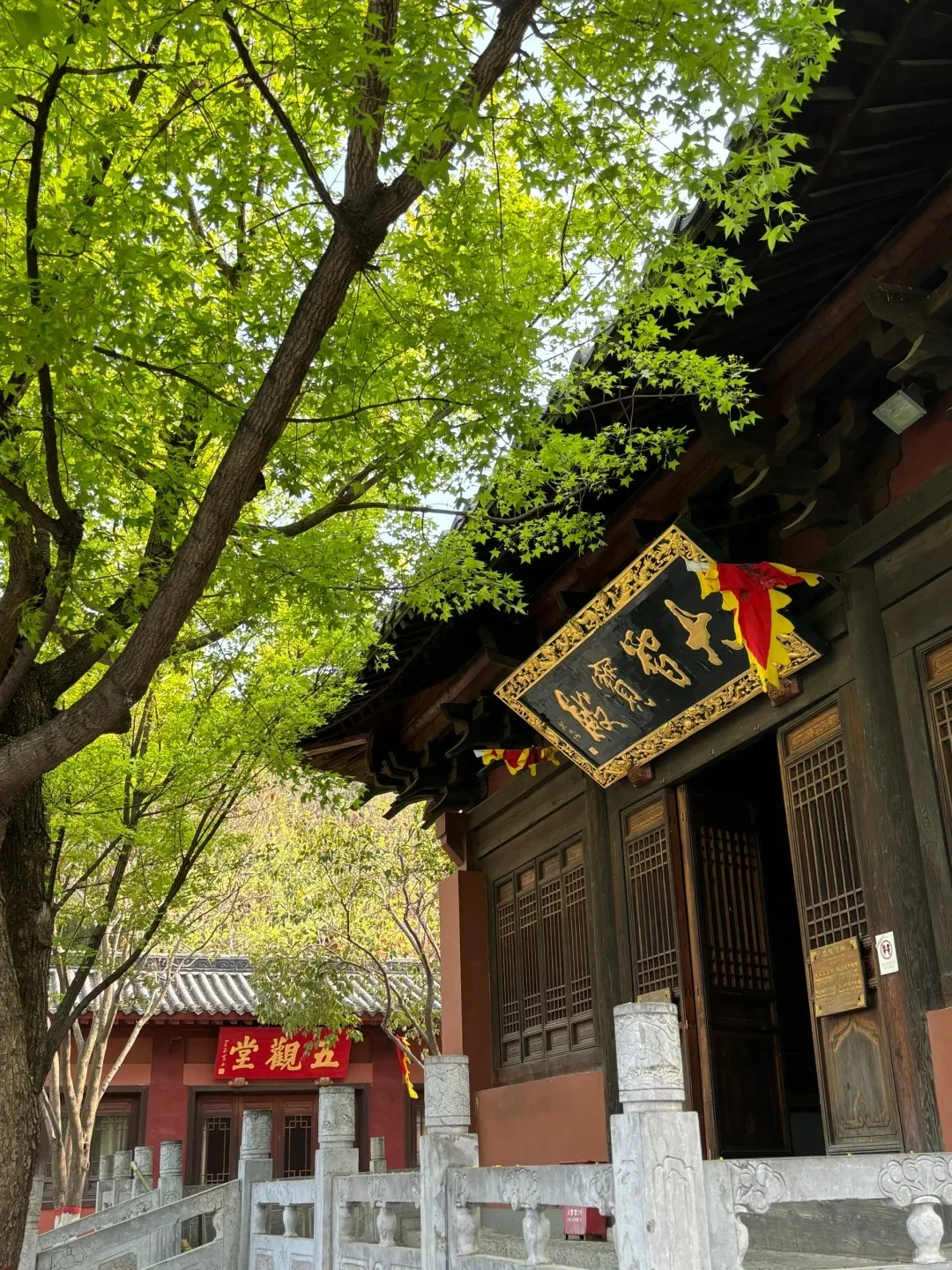 焦作必去9大景点‼️附旅游攻略❗️