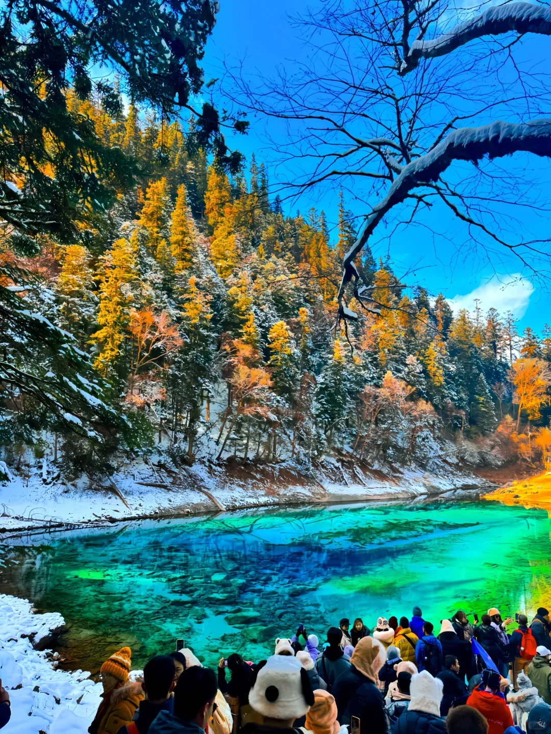 📍九寨沟超全旅游攻略‼️ 旅游前必看❗