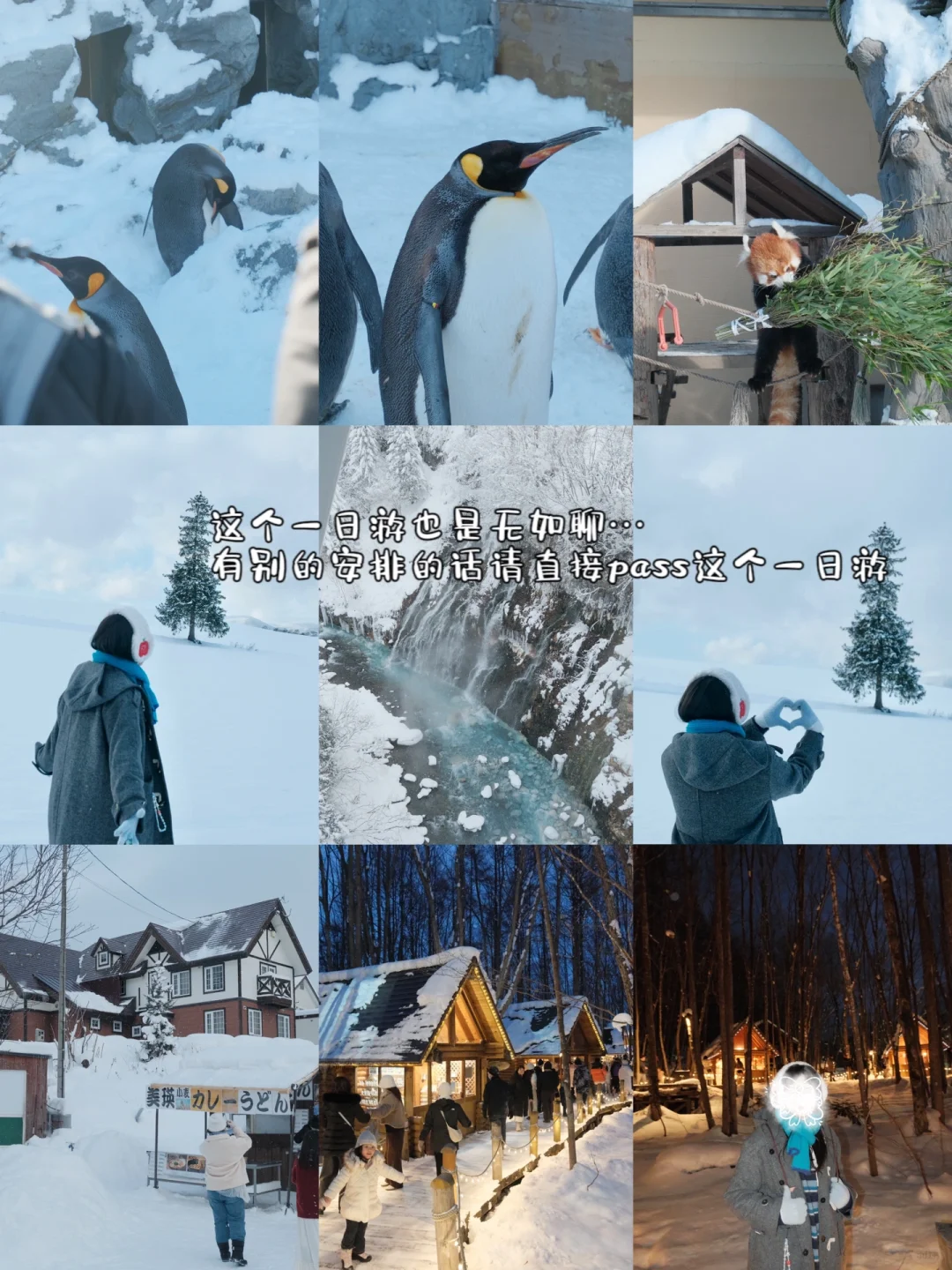 P人北海道旅游攻略。。。🥹满意到睡不着了！